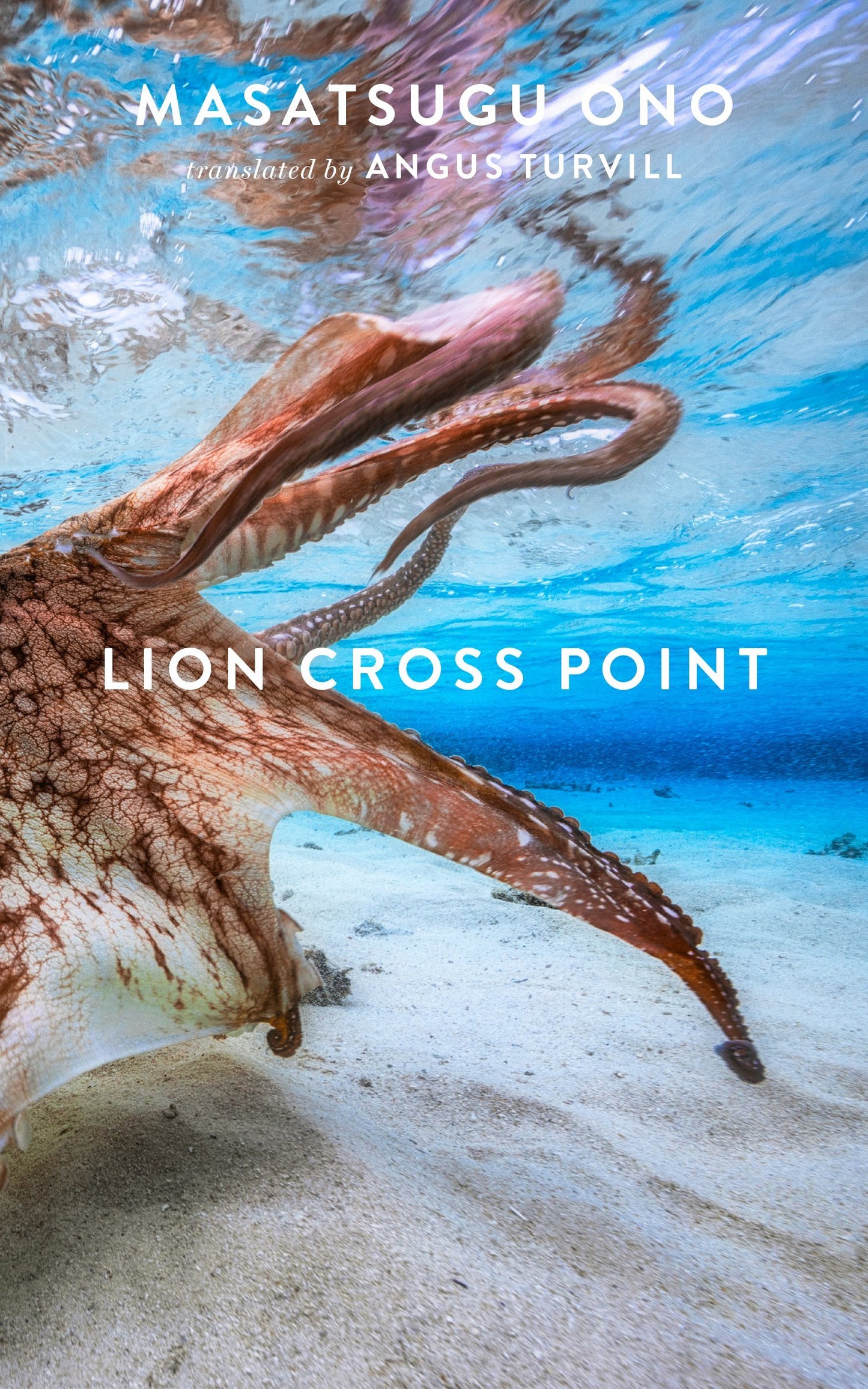 Lion Cross Point book cover