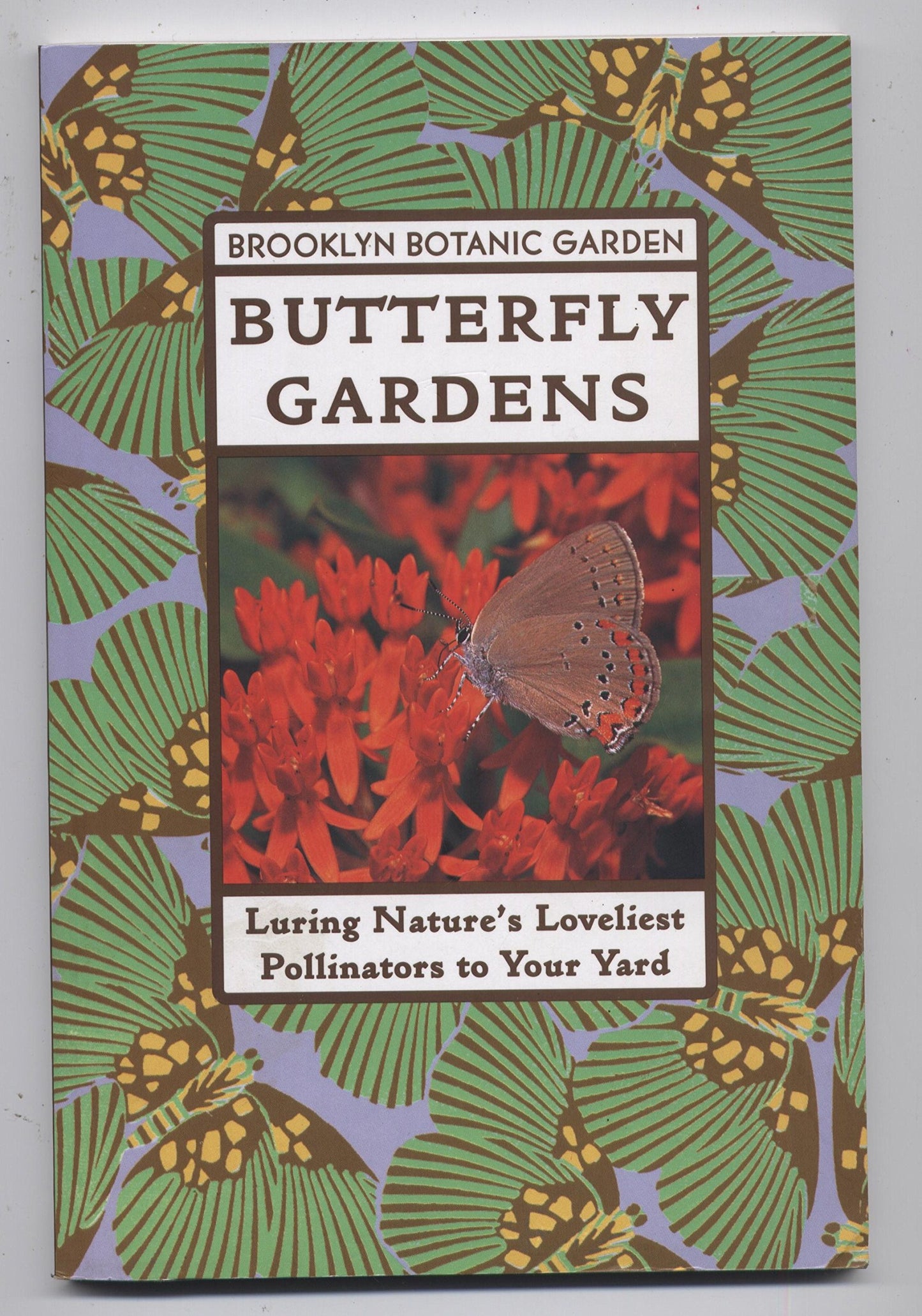 Butterfly Gardens book cover