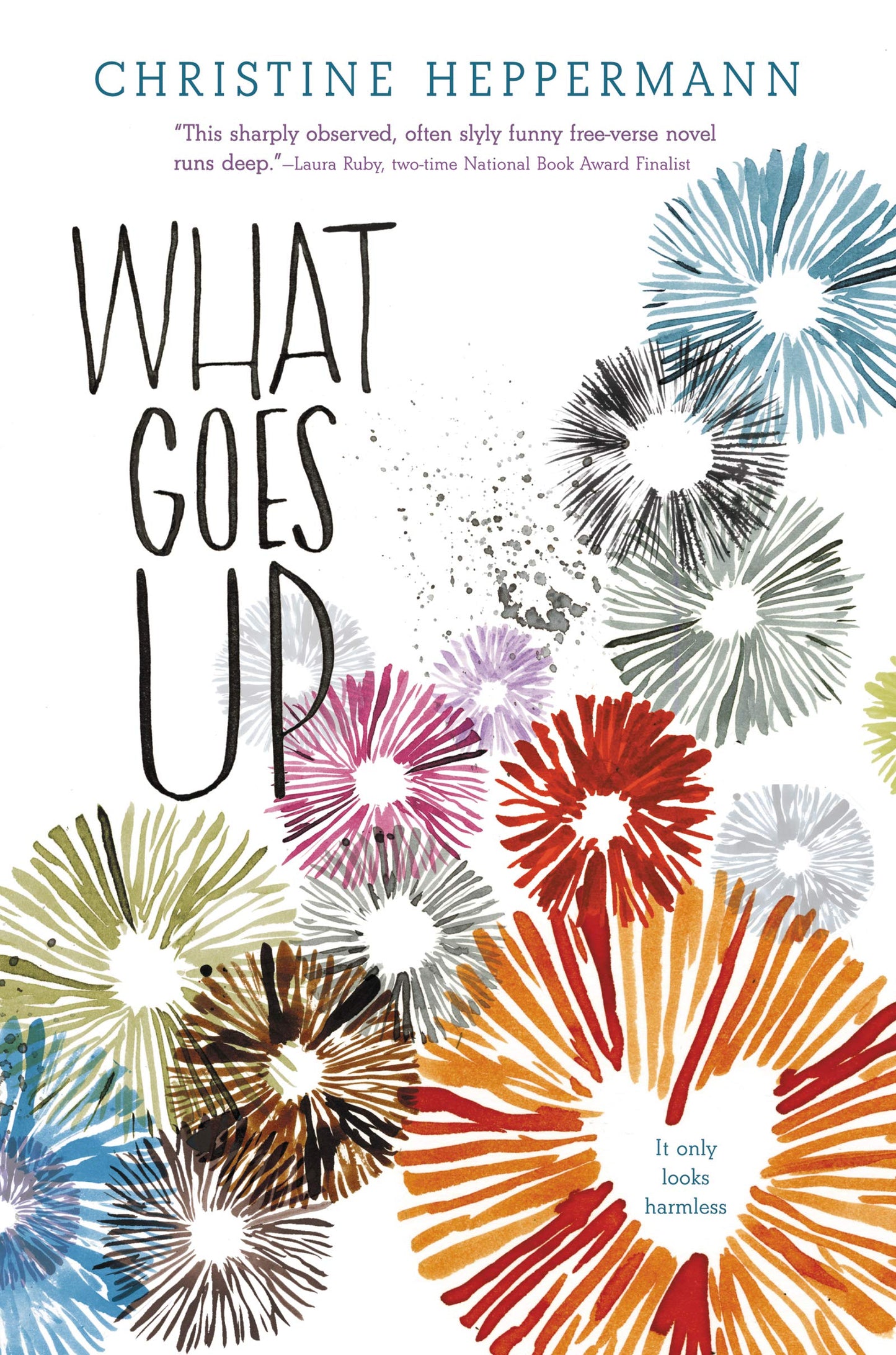 What Goes Up book cover