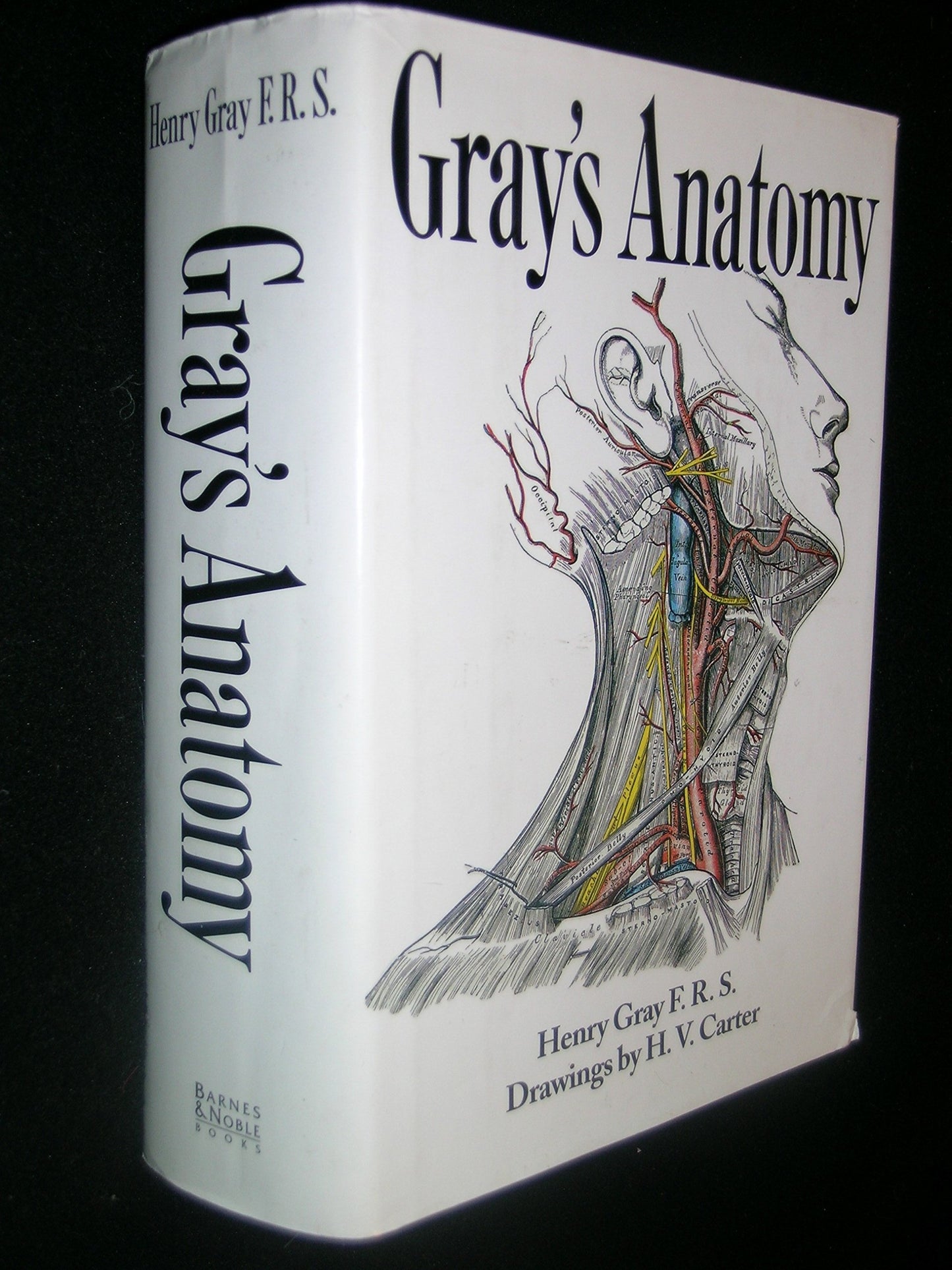 Gray's Anatomy book cover