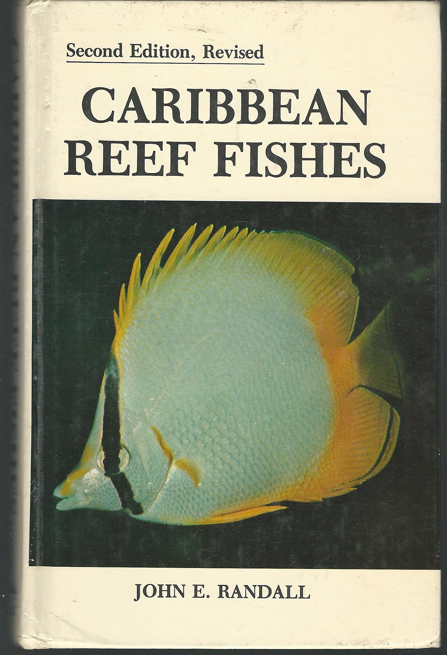 Caribbean Reef Fishes (Rev) book cover