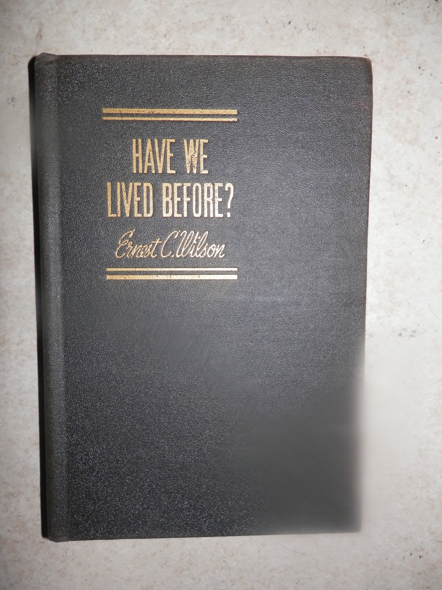 Have We Lived Before book cover