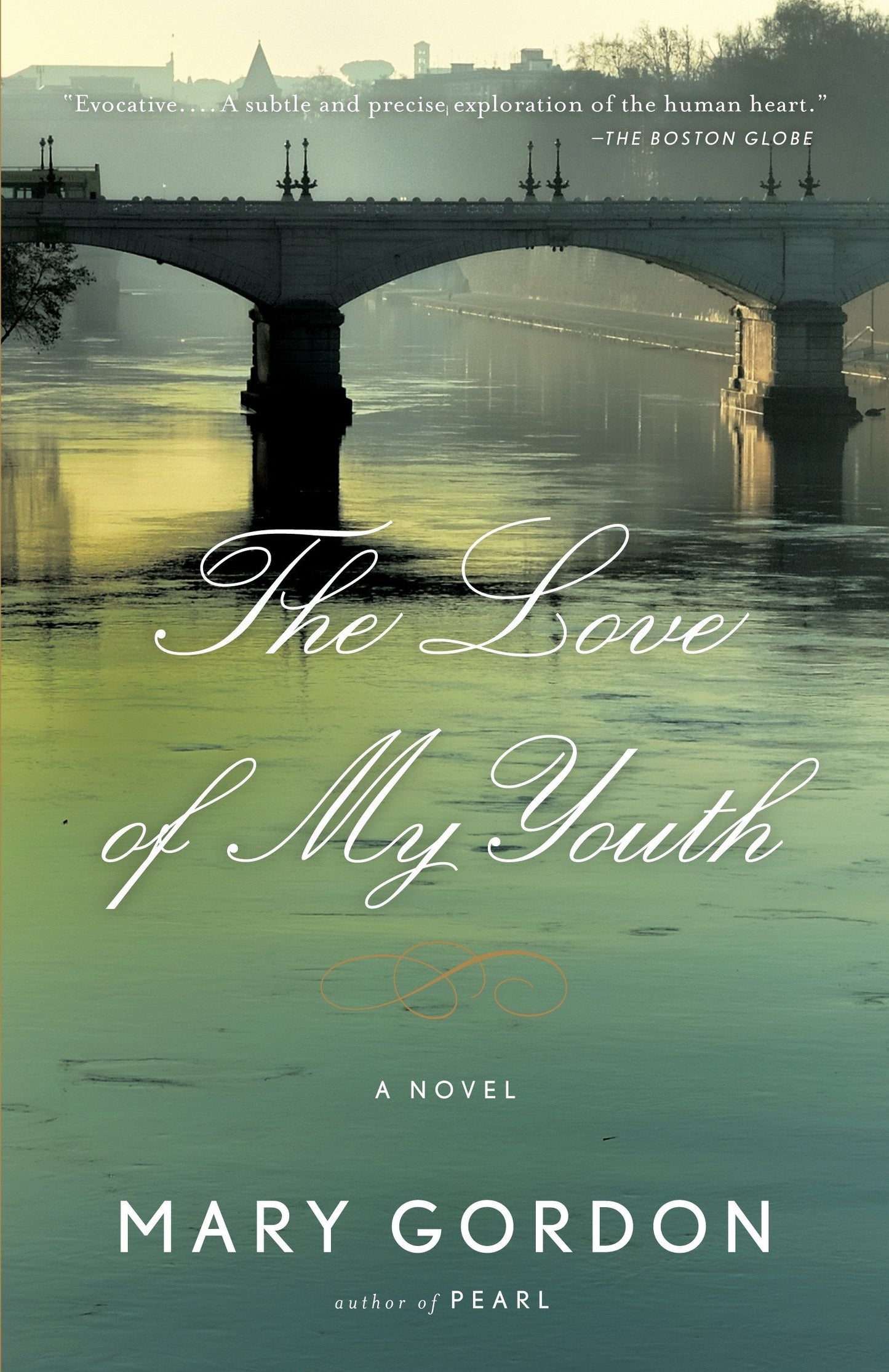 Love of My Youth book cover