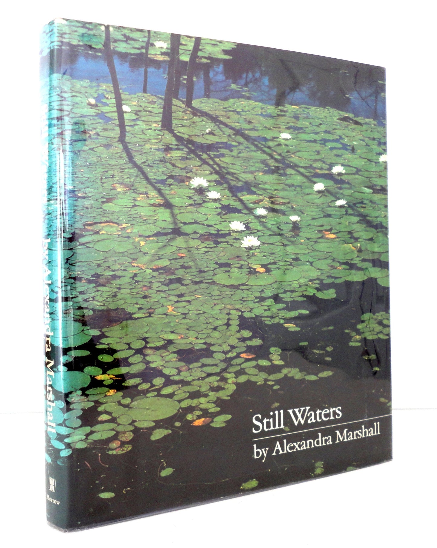 Still waters book cover