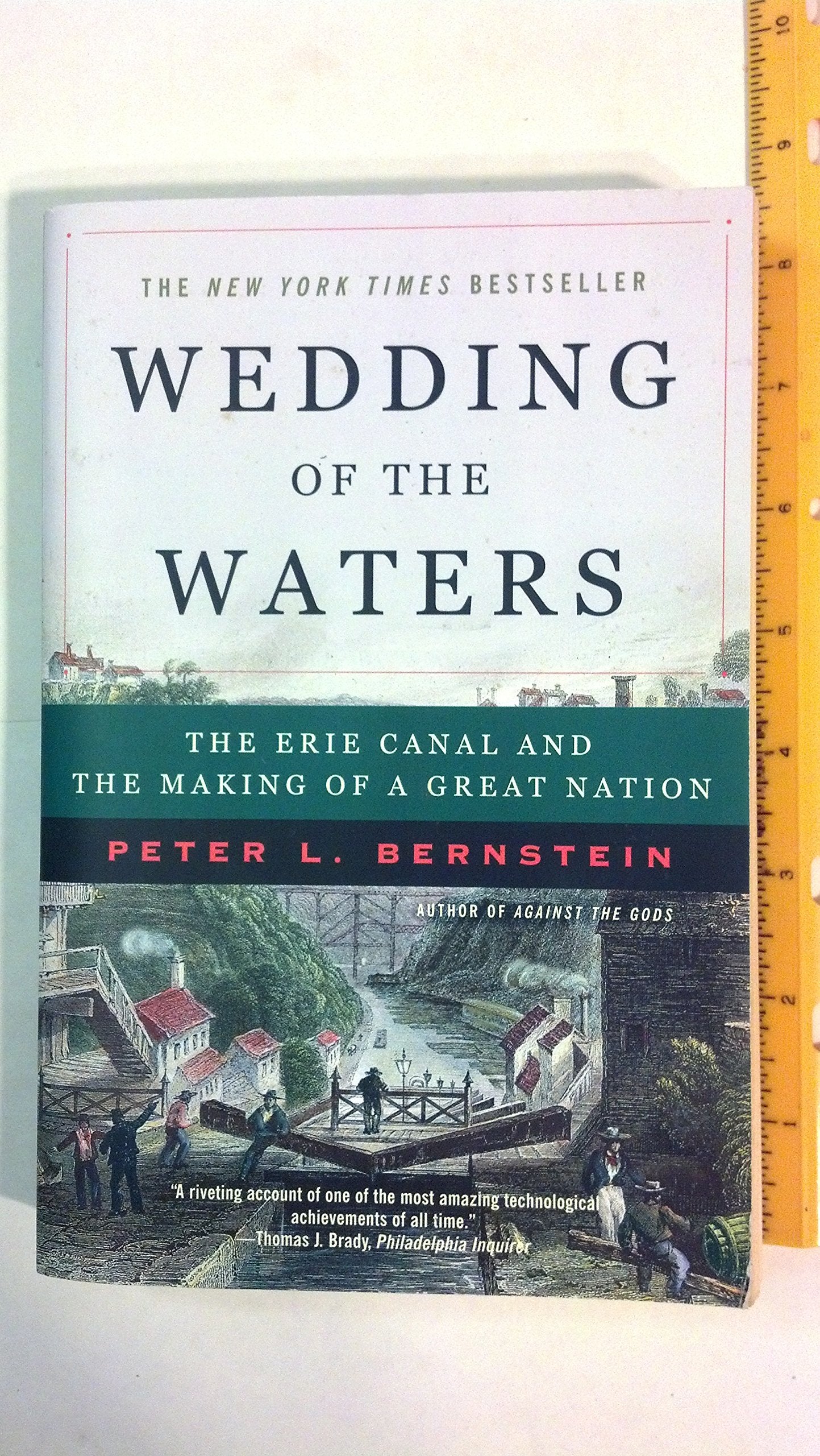 Wedding of the Waters: The Erie Canal and the Making of a Great Nation book cover