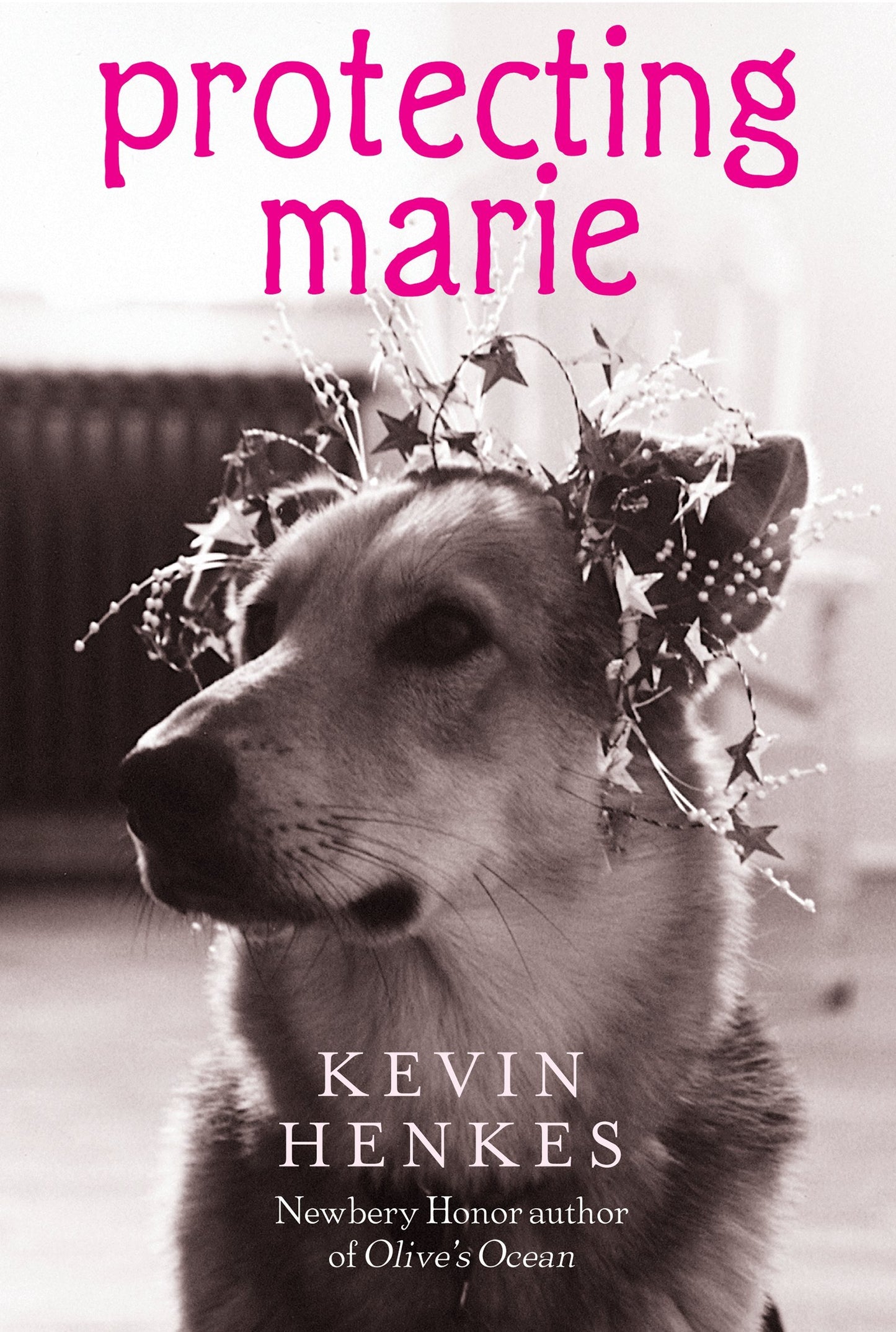 Protecting Marie book cover