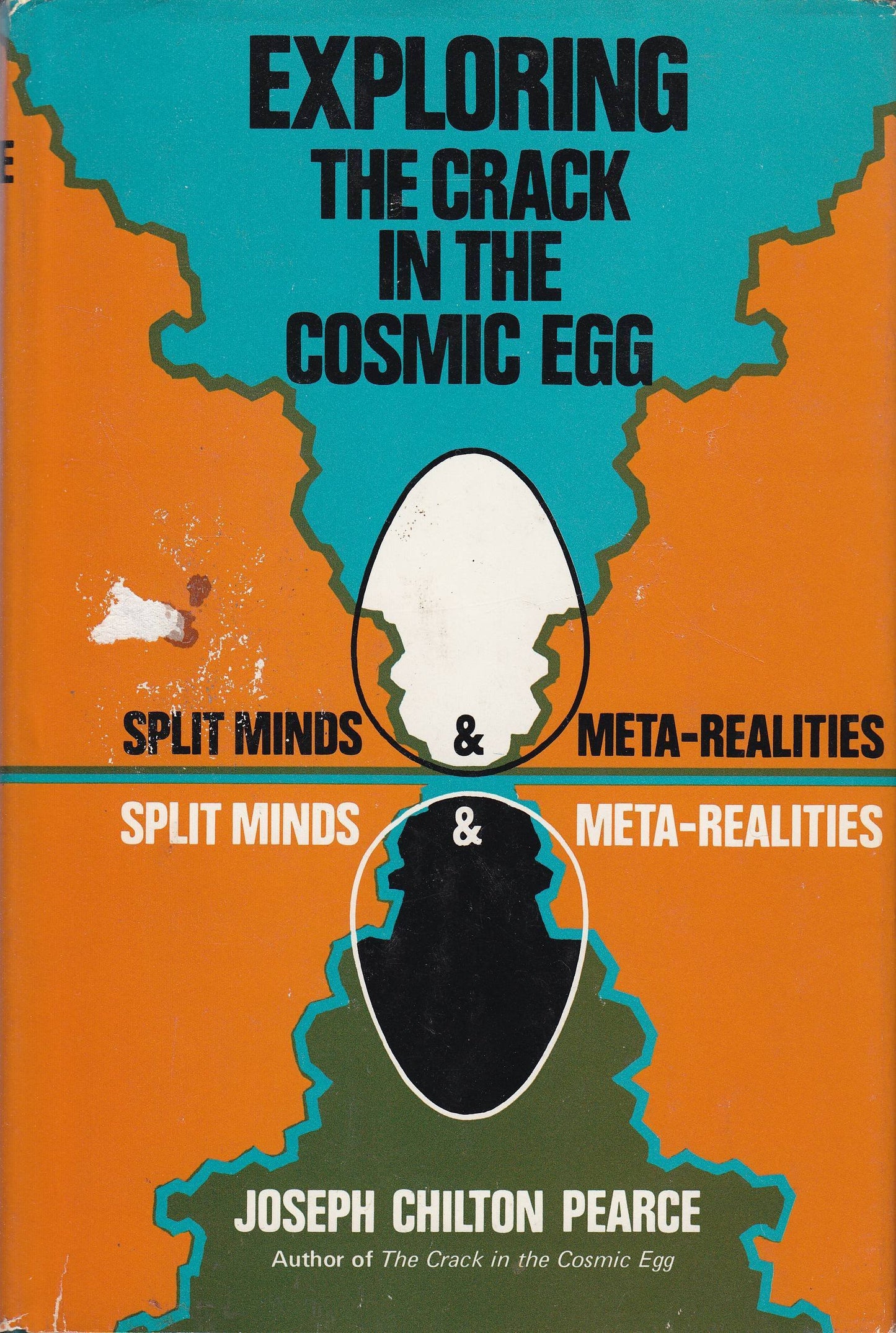 Exploring the Crack in the Cosmic Egg: Split Minds and Meta-Realities book cover
