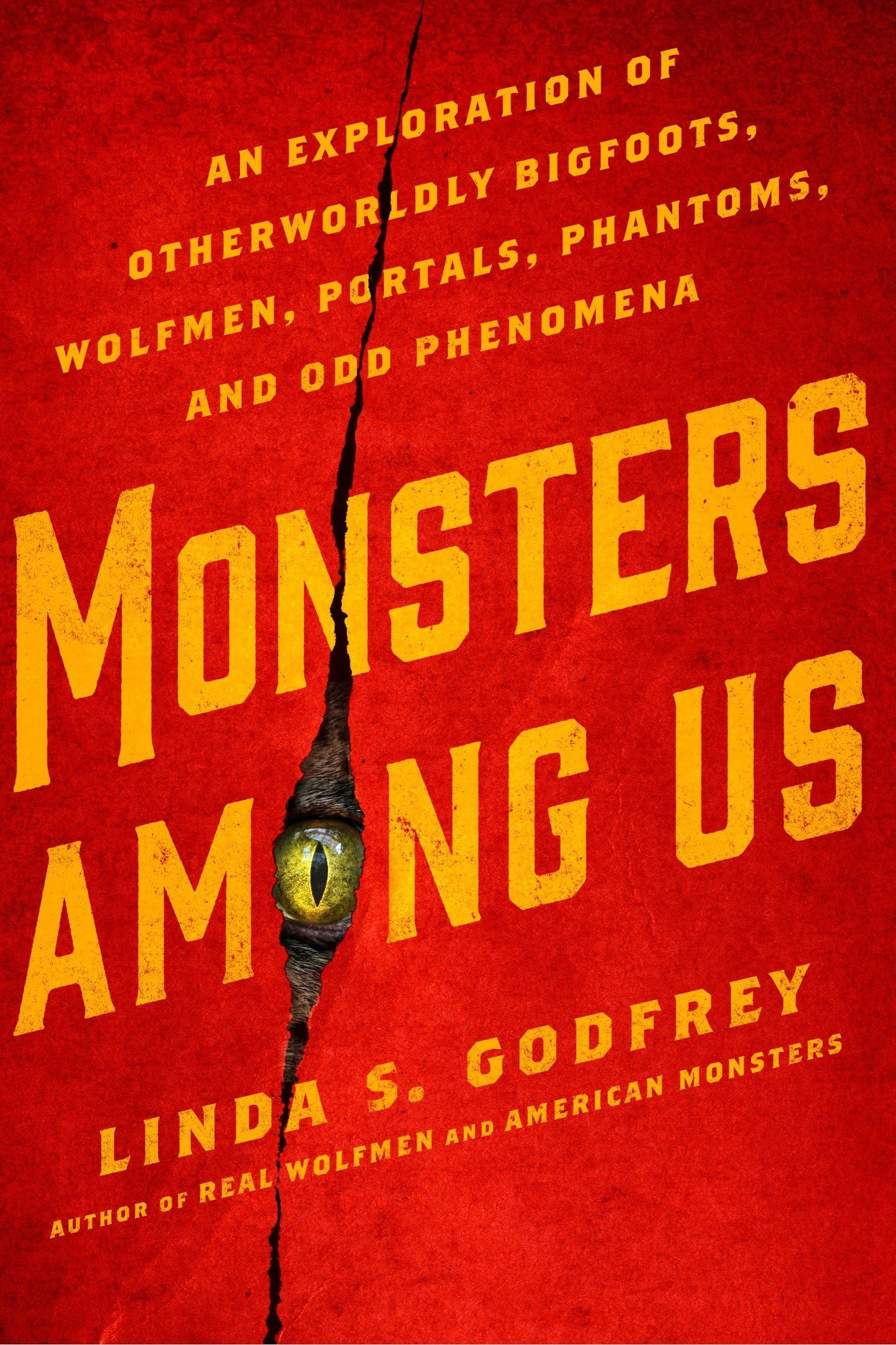 Monsters Among Us: An Exploration of Otherworldly Bigfoots, Wolfmen, Portals, Phantoms, and Odd Phenomena book cover