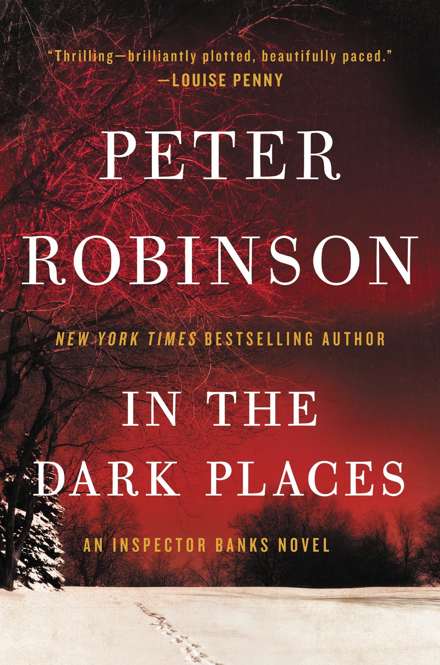 In the Dark Places book cover