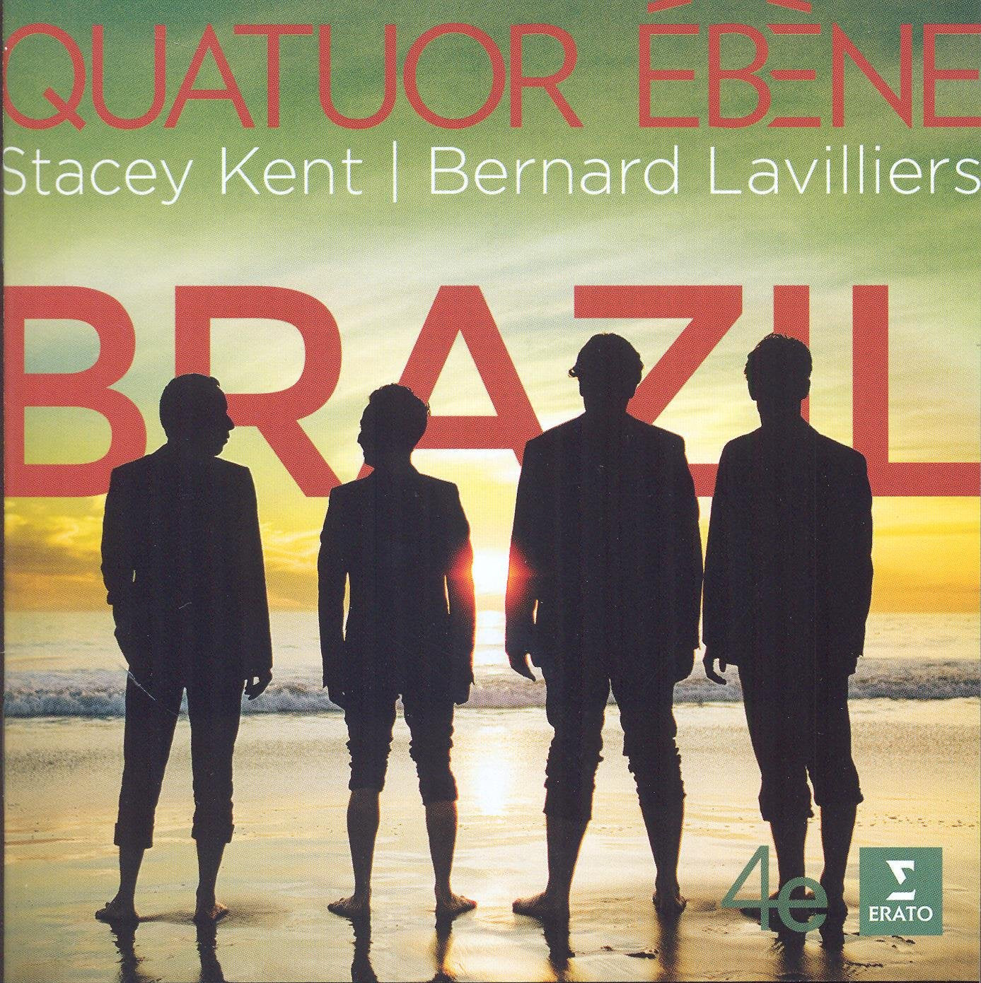 Brazil book cover