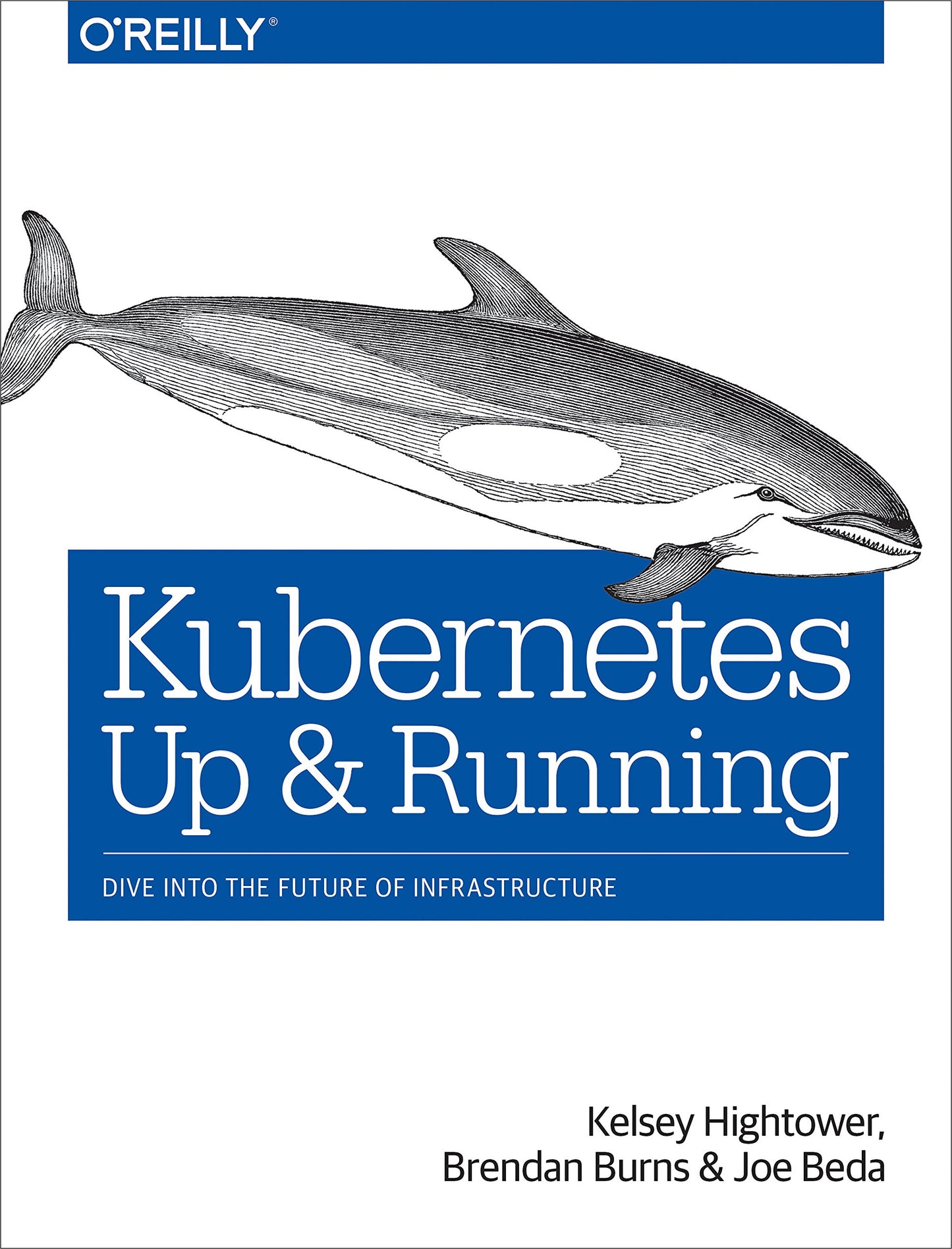 Kubernetes: Up and Running: Dive Into the Future of Infrastructure book cover