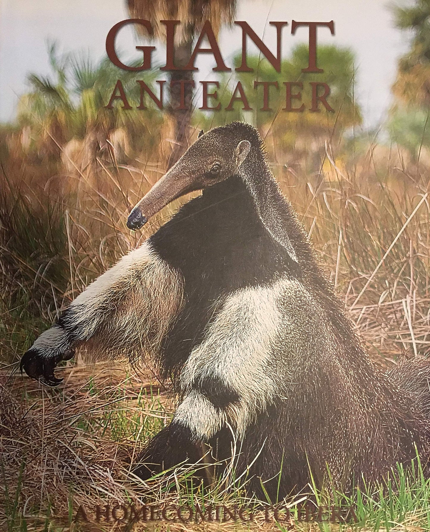 Giant Anteater : A Homecoming to Ibera book cover