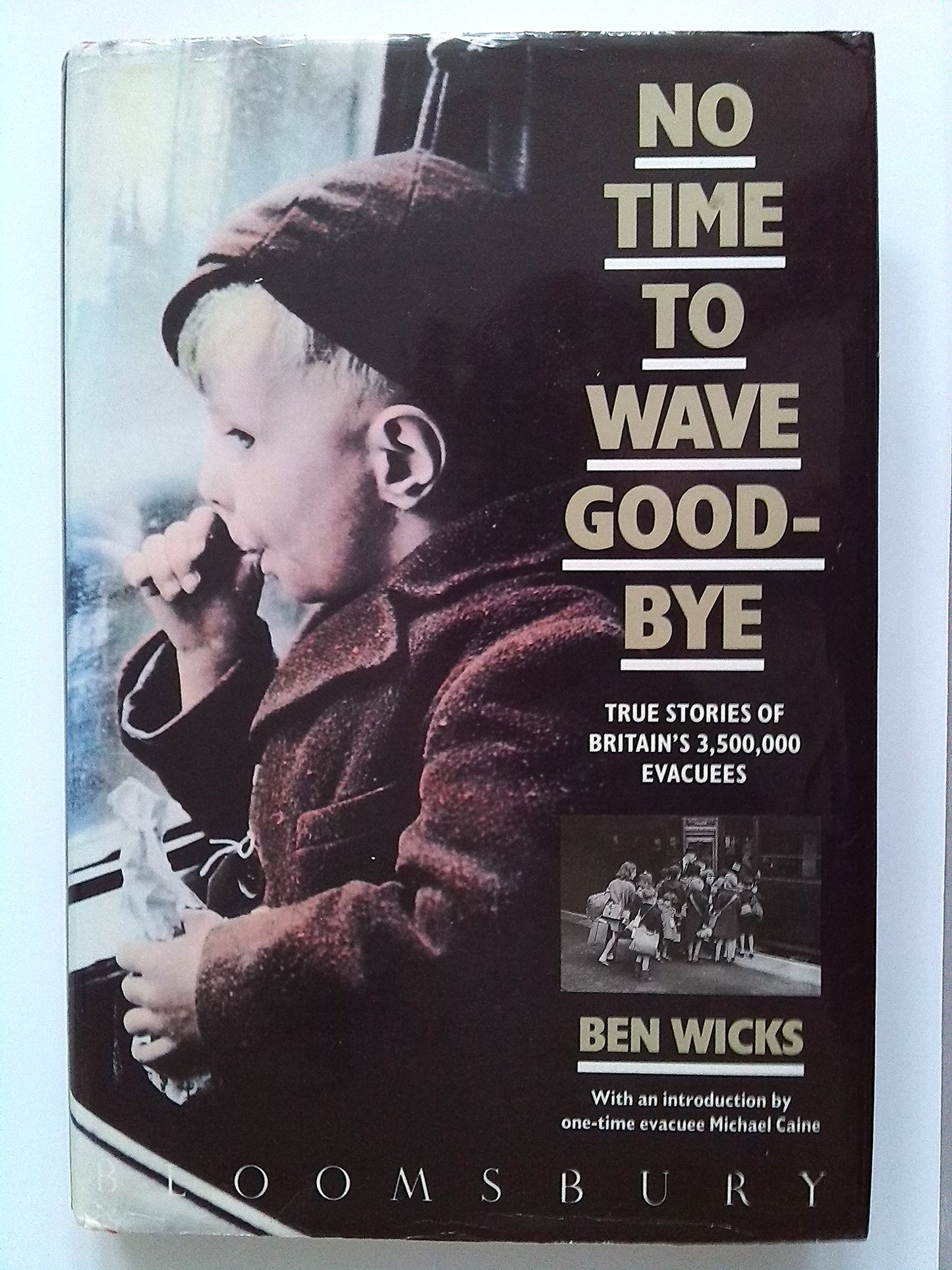 No time to wave goodbye book cover