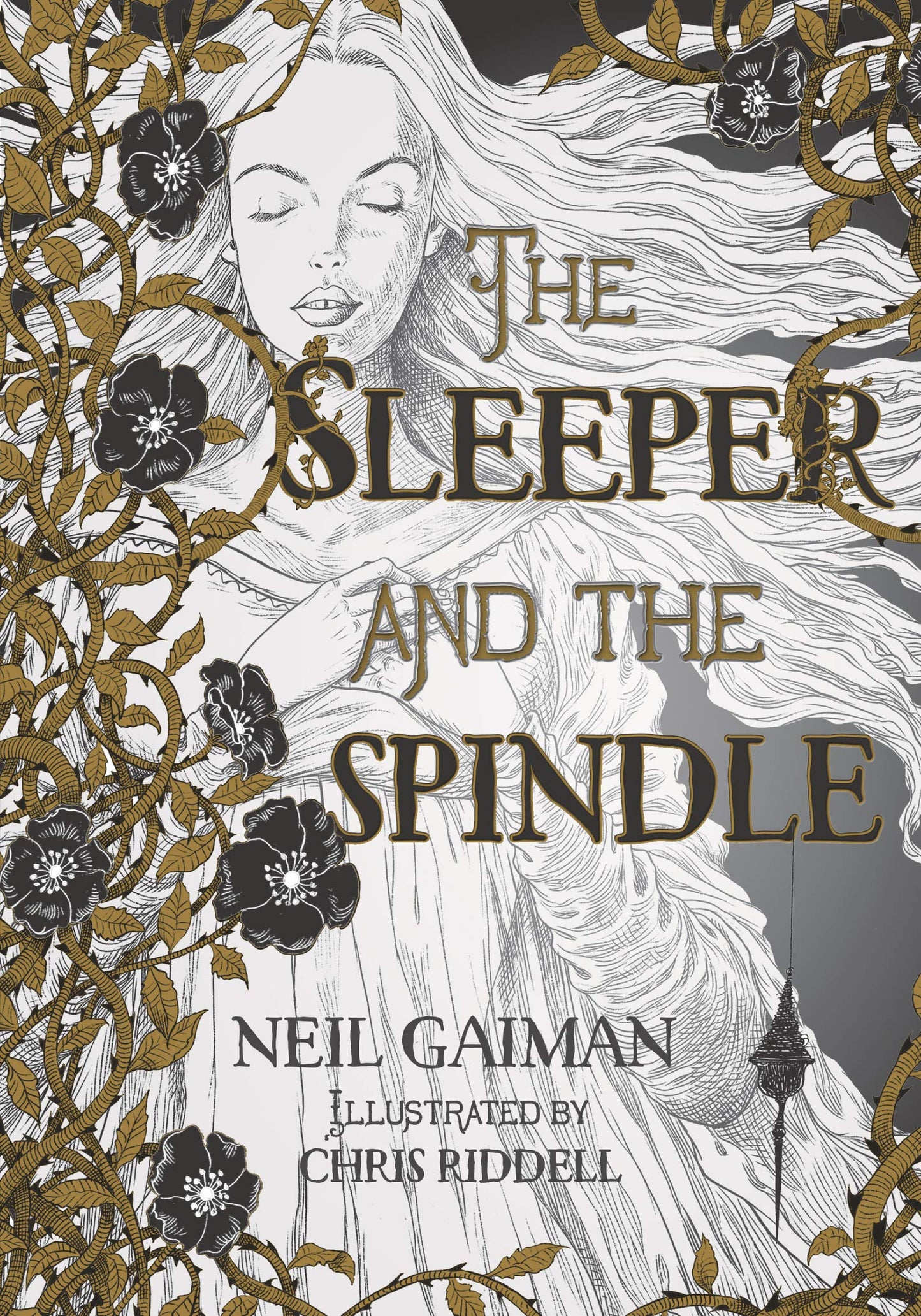 Sleeper and the Spindle book cover