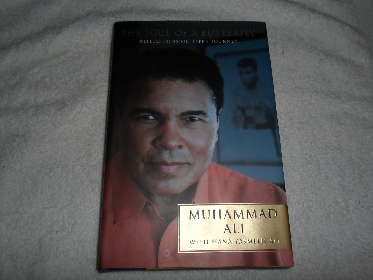 Soul of a Butterfly: Reflections on Life's Journey