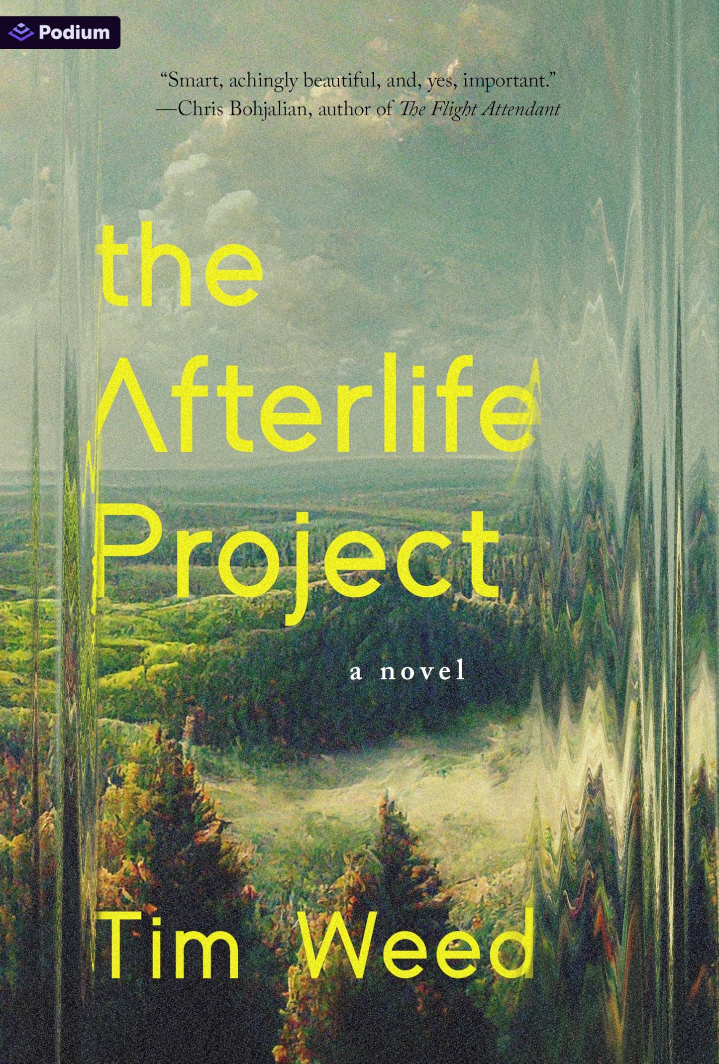 Afterlife Project book cover