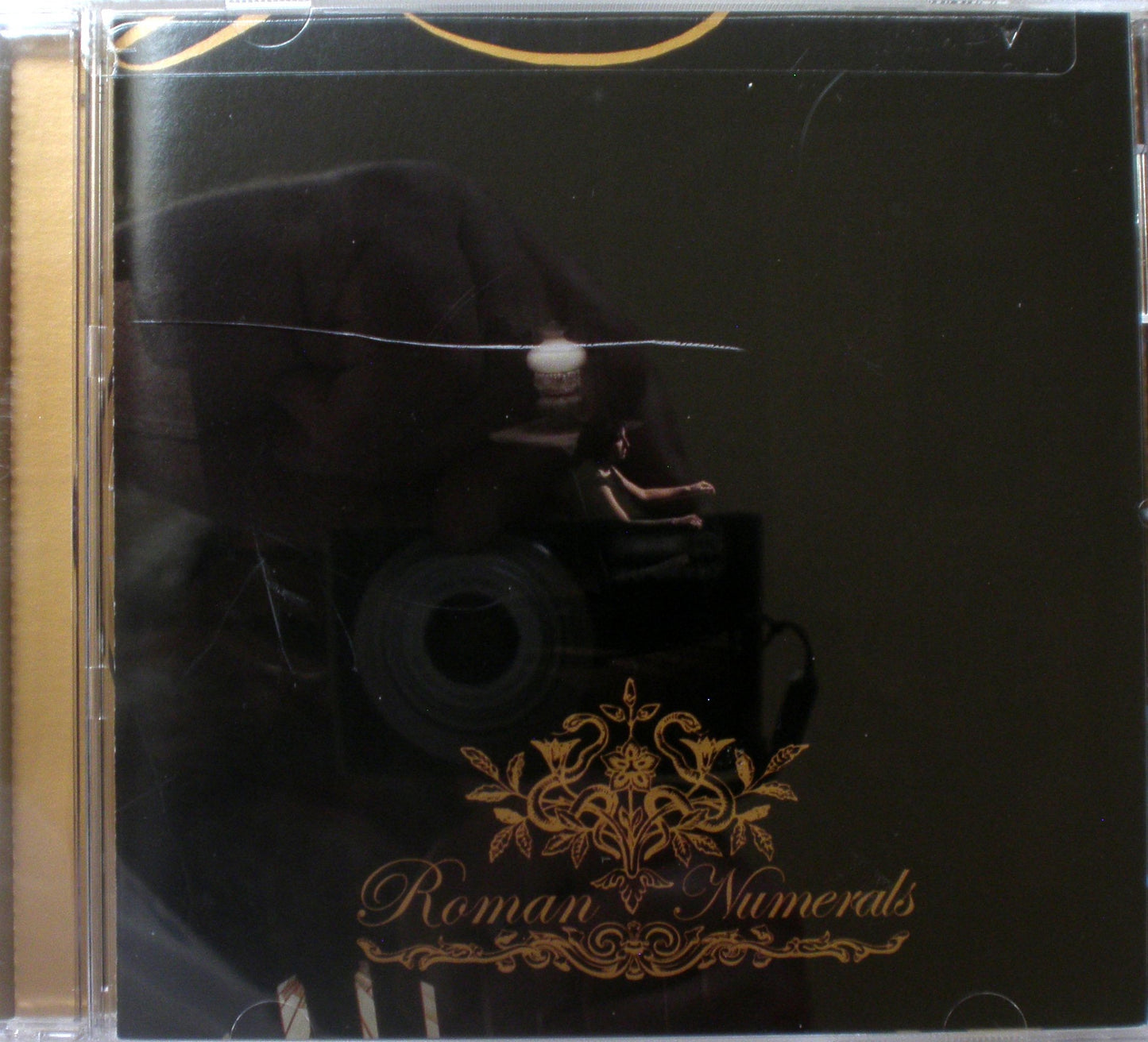 Roman Numerals book cover