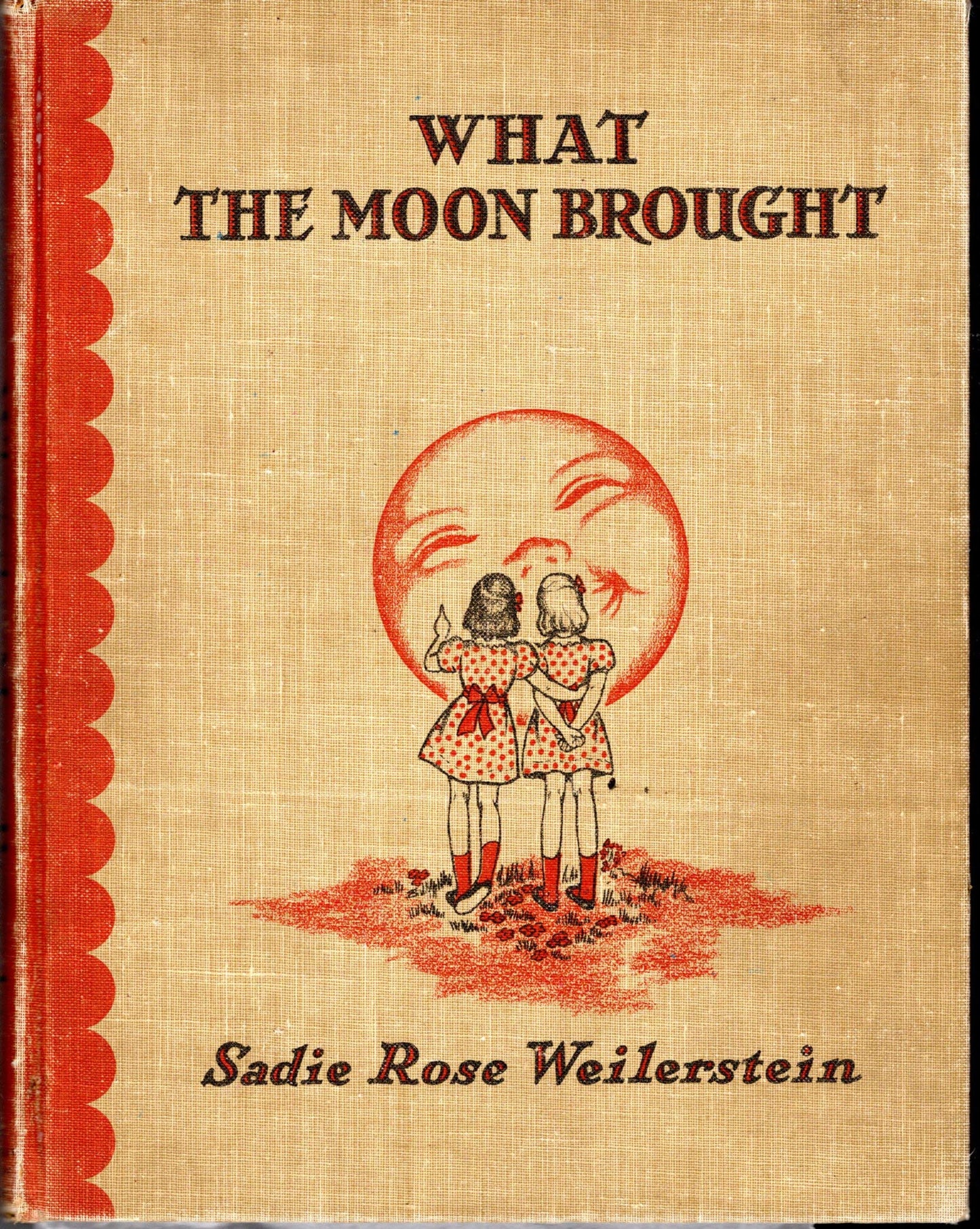What the moon brought, book cover