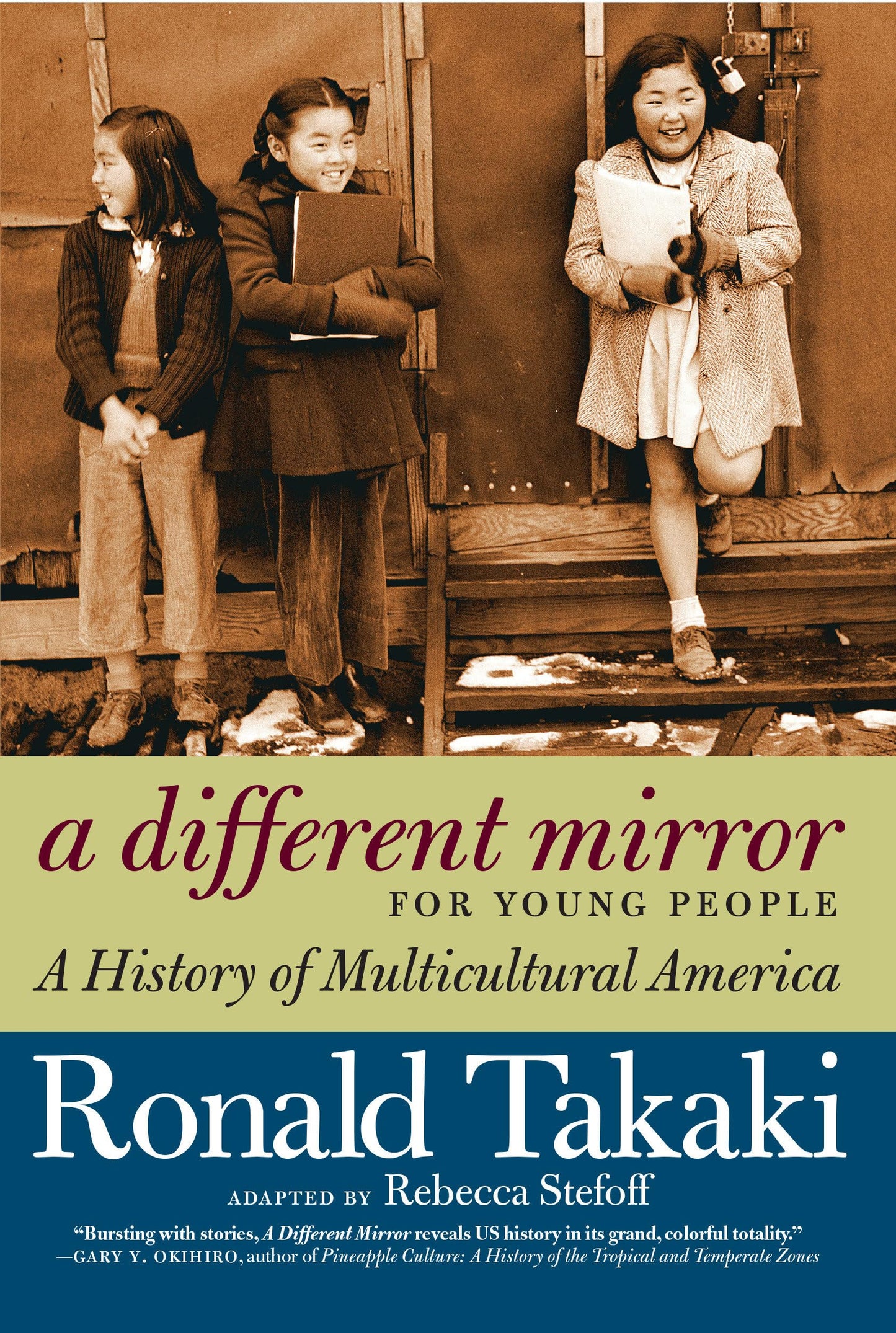 Different Mirror for Young People: A History of Multicultural America