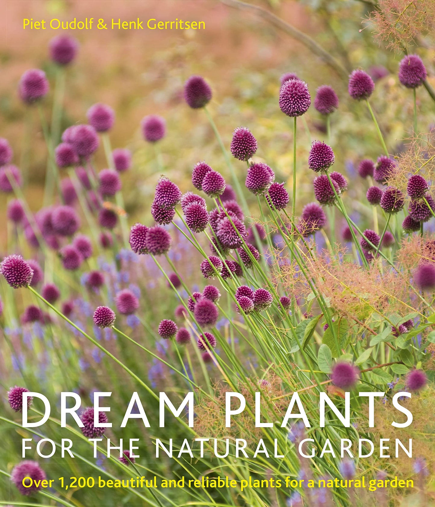 Dream Plants for the Natural Garden: Over 1,200 Beautiful and Reliable Plants for a Natural Garden book cover