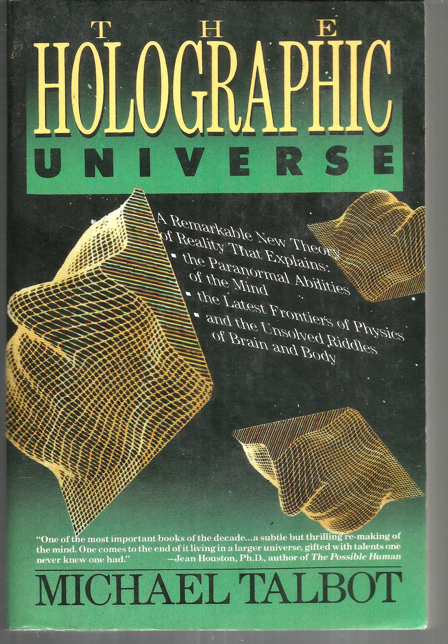 Holographic Universe book cover