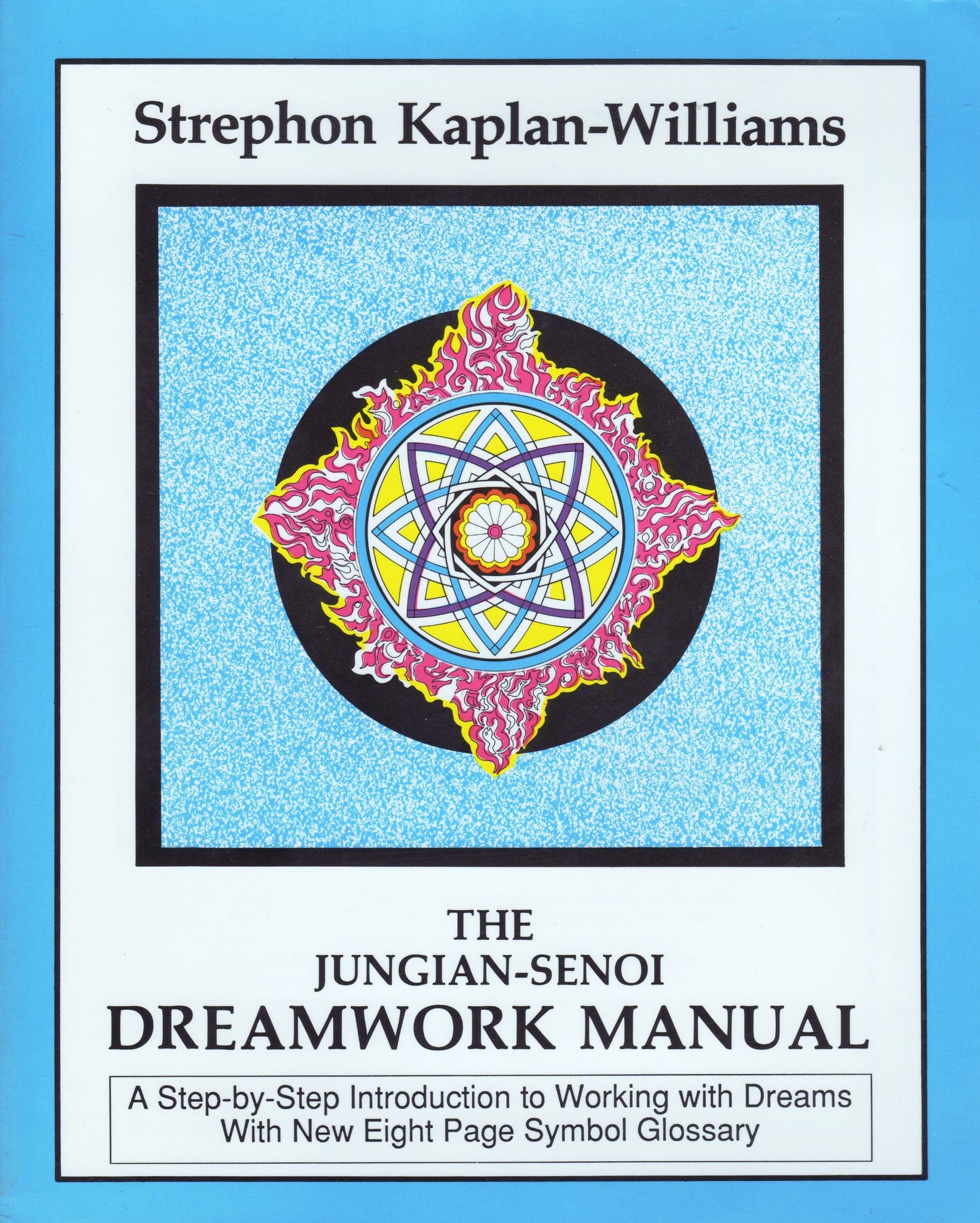 Jungian Senio Dreanwork Manual book cover
