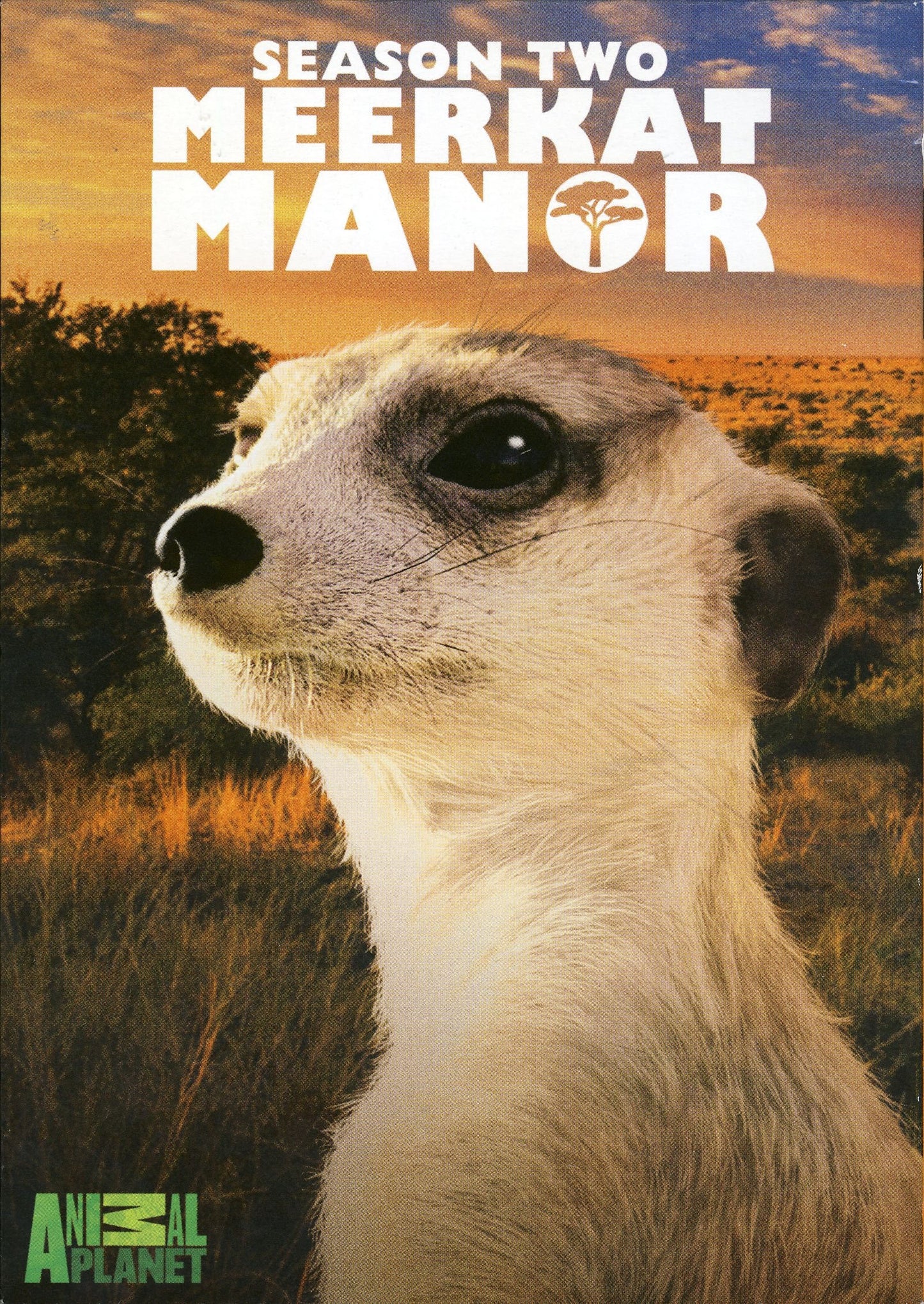 Meerkat Manor: Season Two