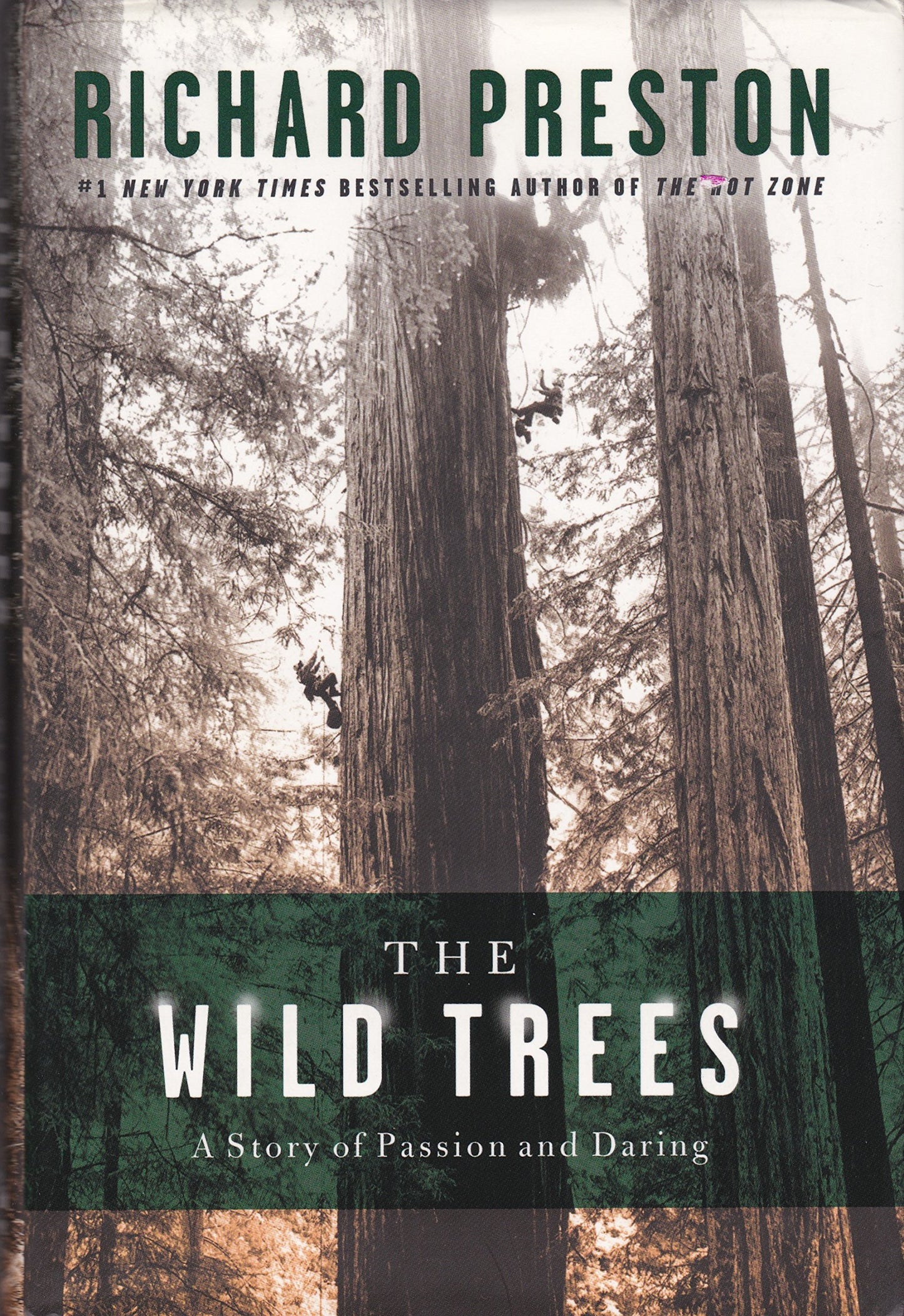 Wild Trees: A Story of Passion and Daring book cover