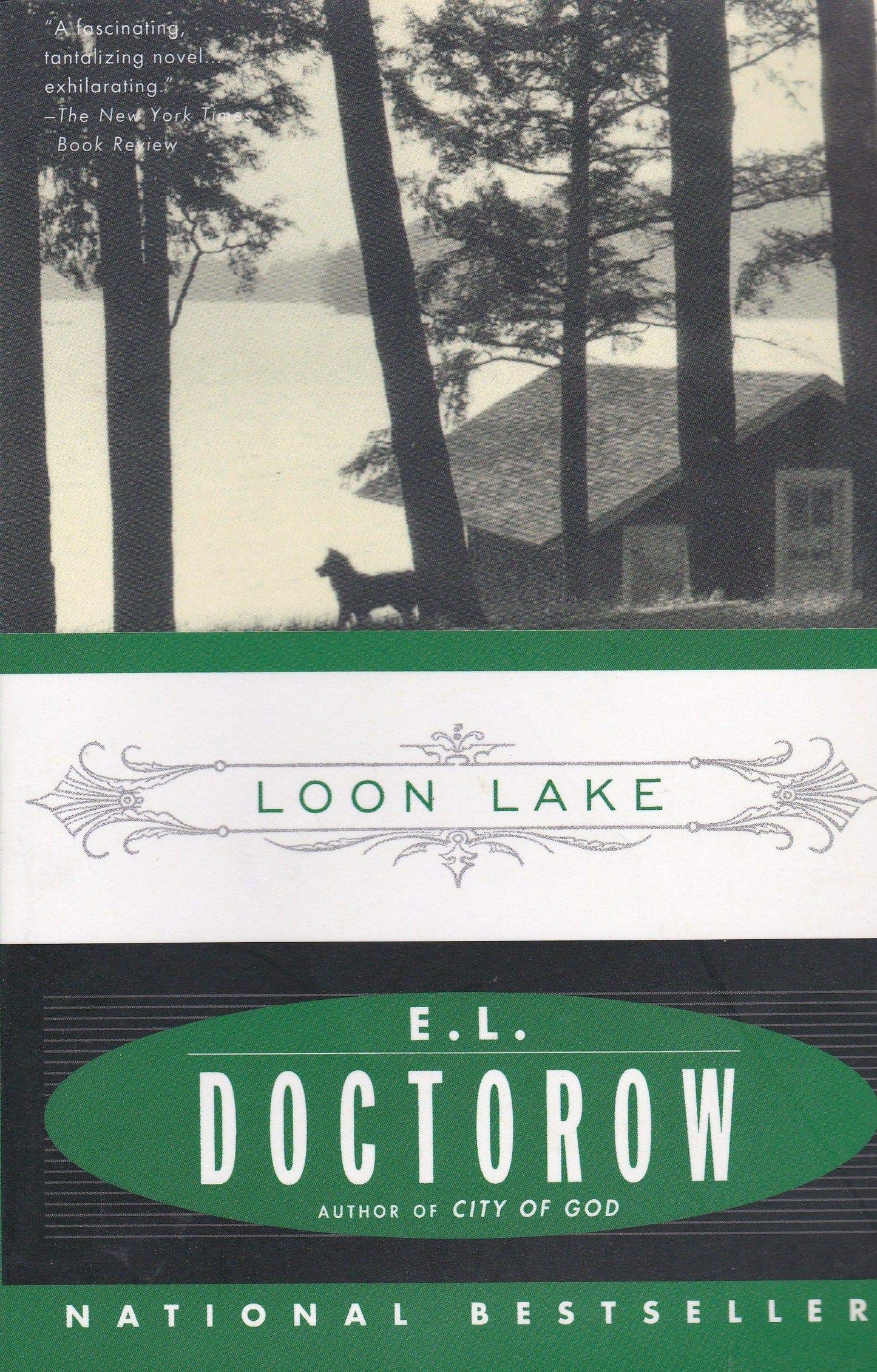 Loon Lake book cover