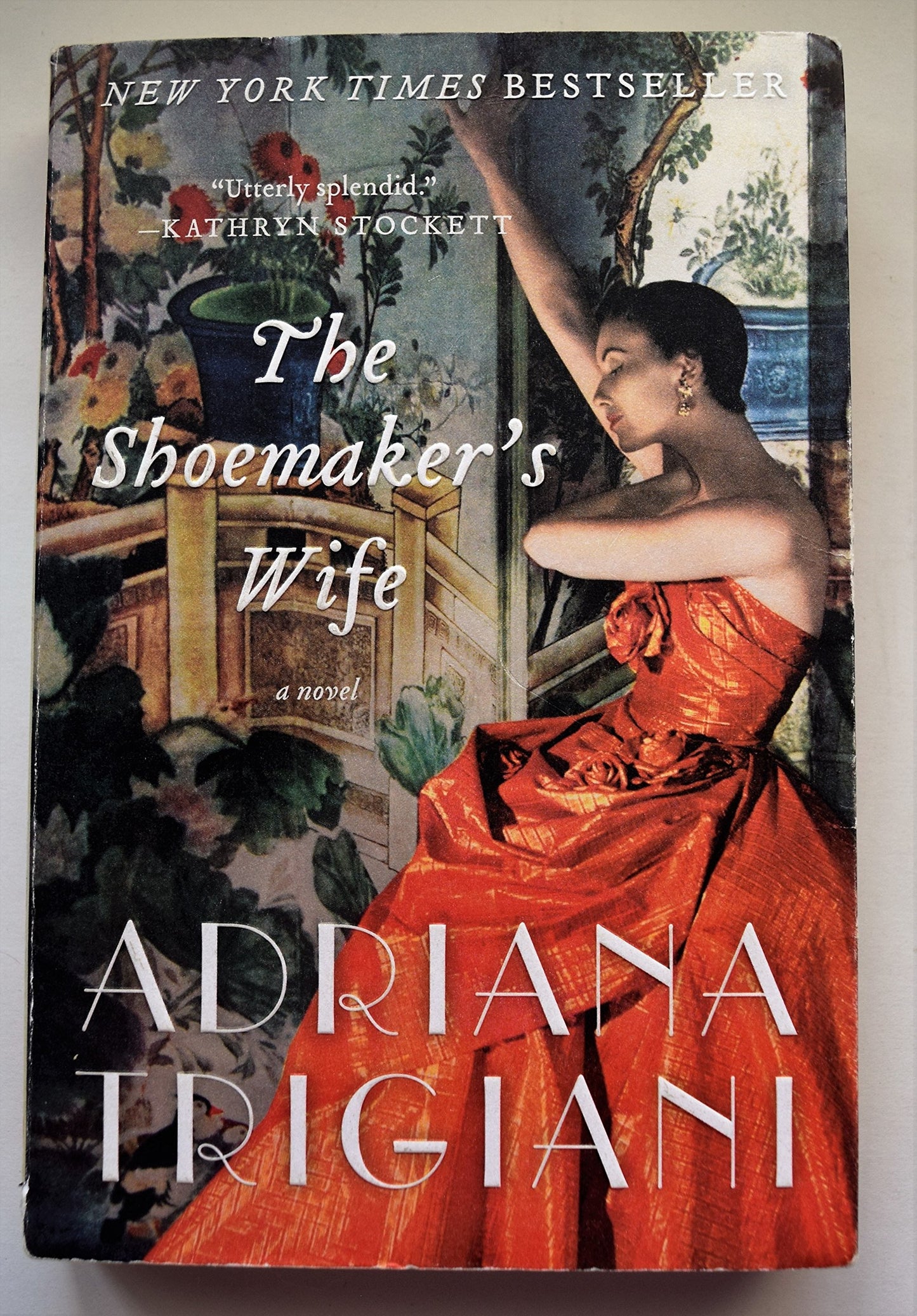 Shoemaker's Wife book cover