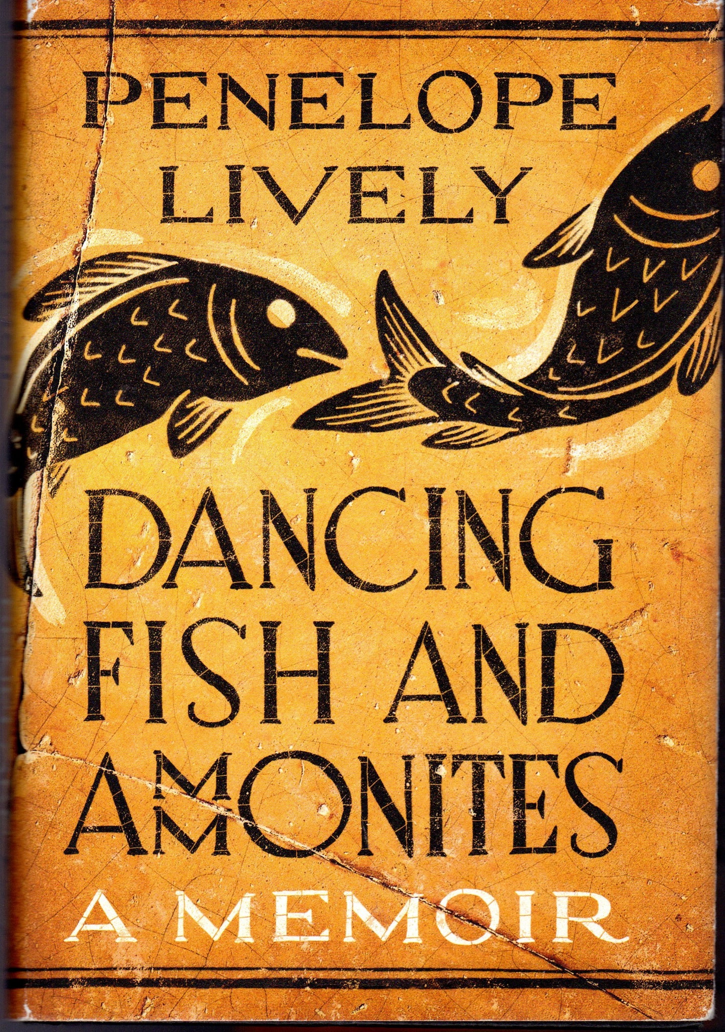 Dancing Fish and Ammonites book cover