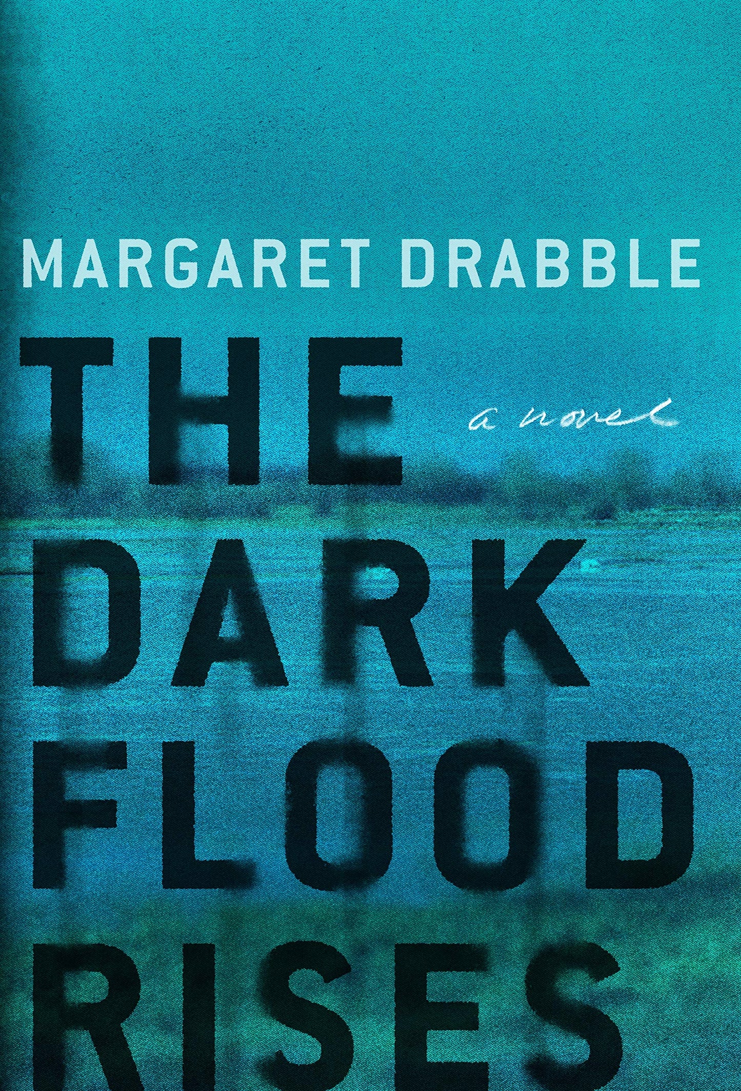 Dark Flood Rises book cover