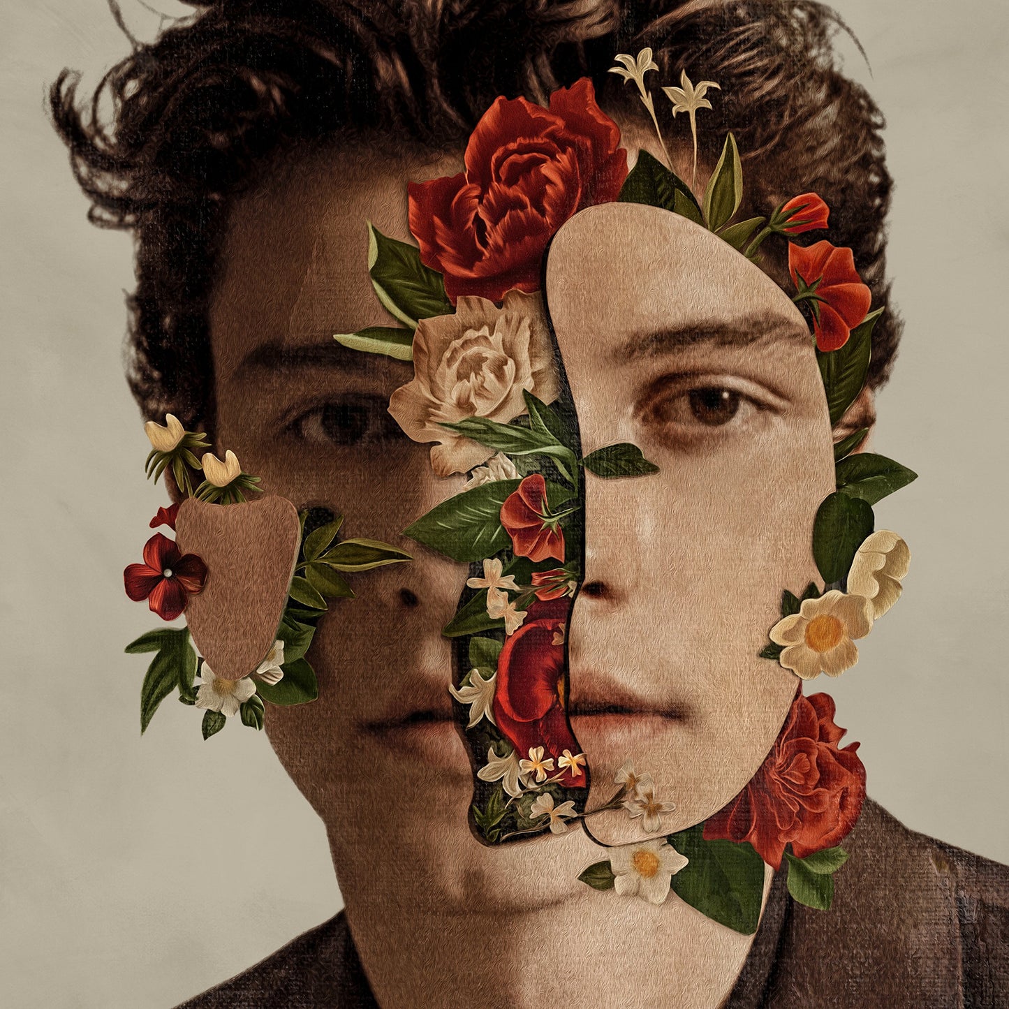 Shawn Mendes book cover