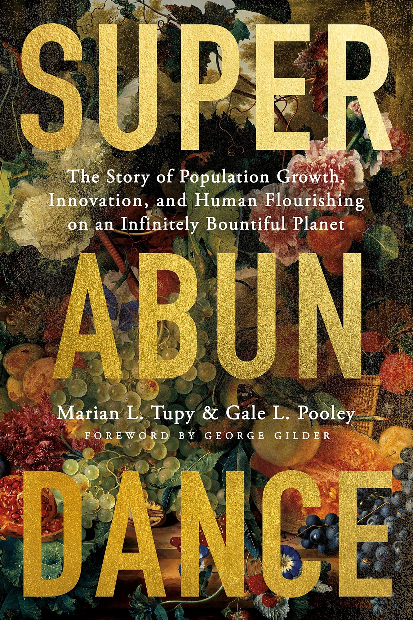 Superabundance: The Story of Population Growth, Innovation, and Human Flourishing on an Infinitely Bountiful Planet book cover