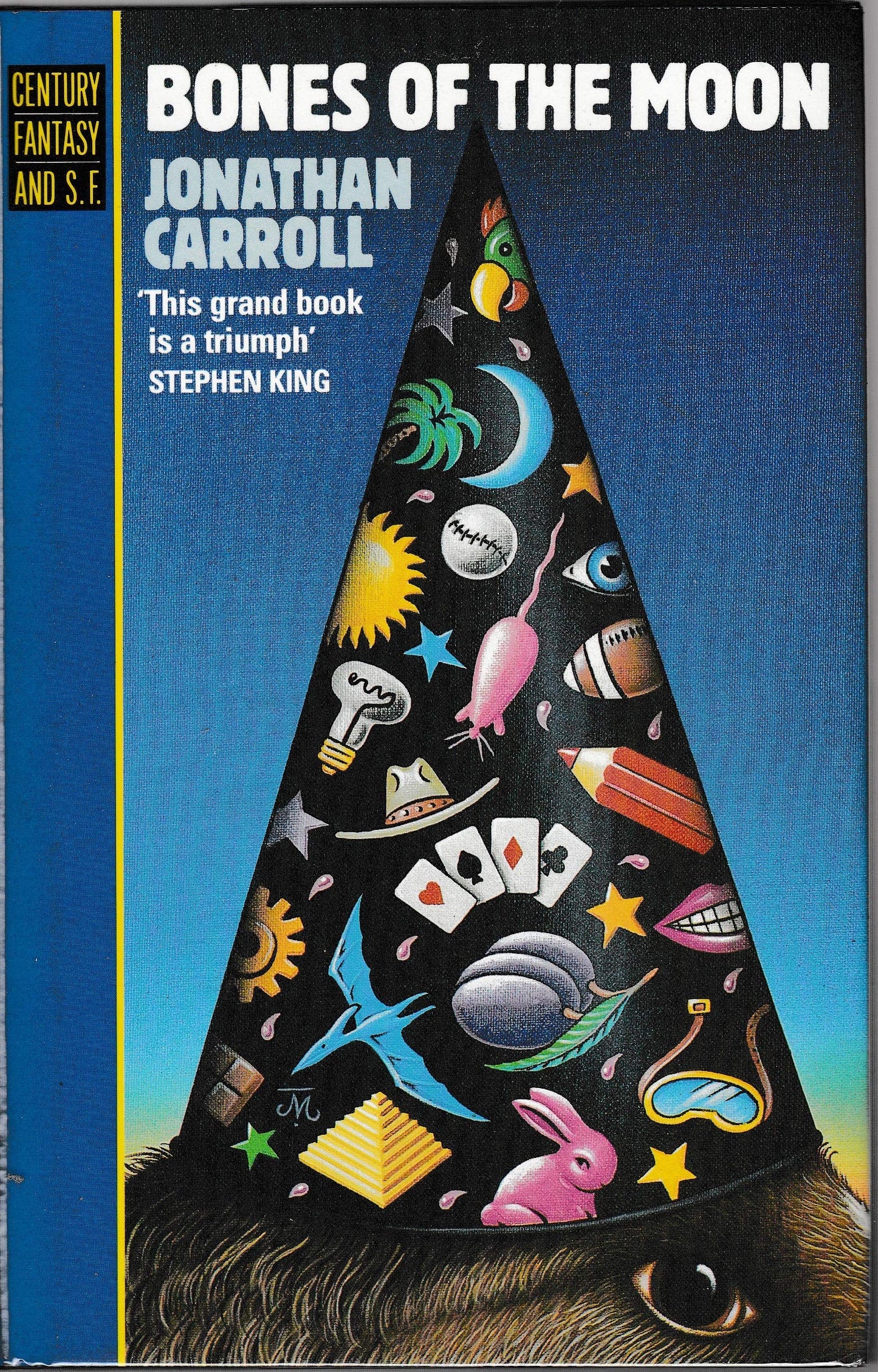 BONES OF THE MOON. book cover