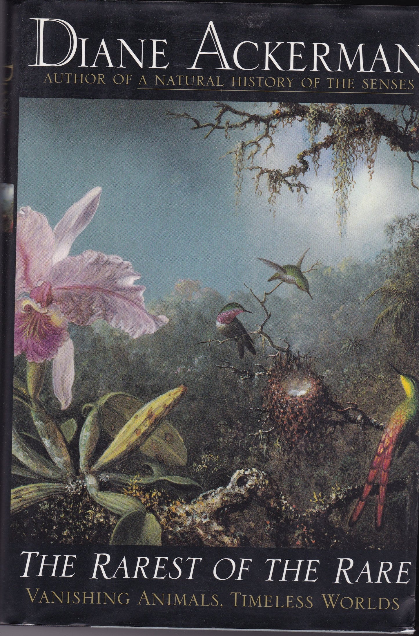 Rarest of the Rare: Vanishing Animals, Timeless Worlds book cover