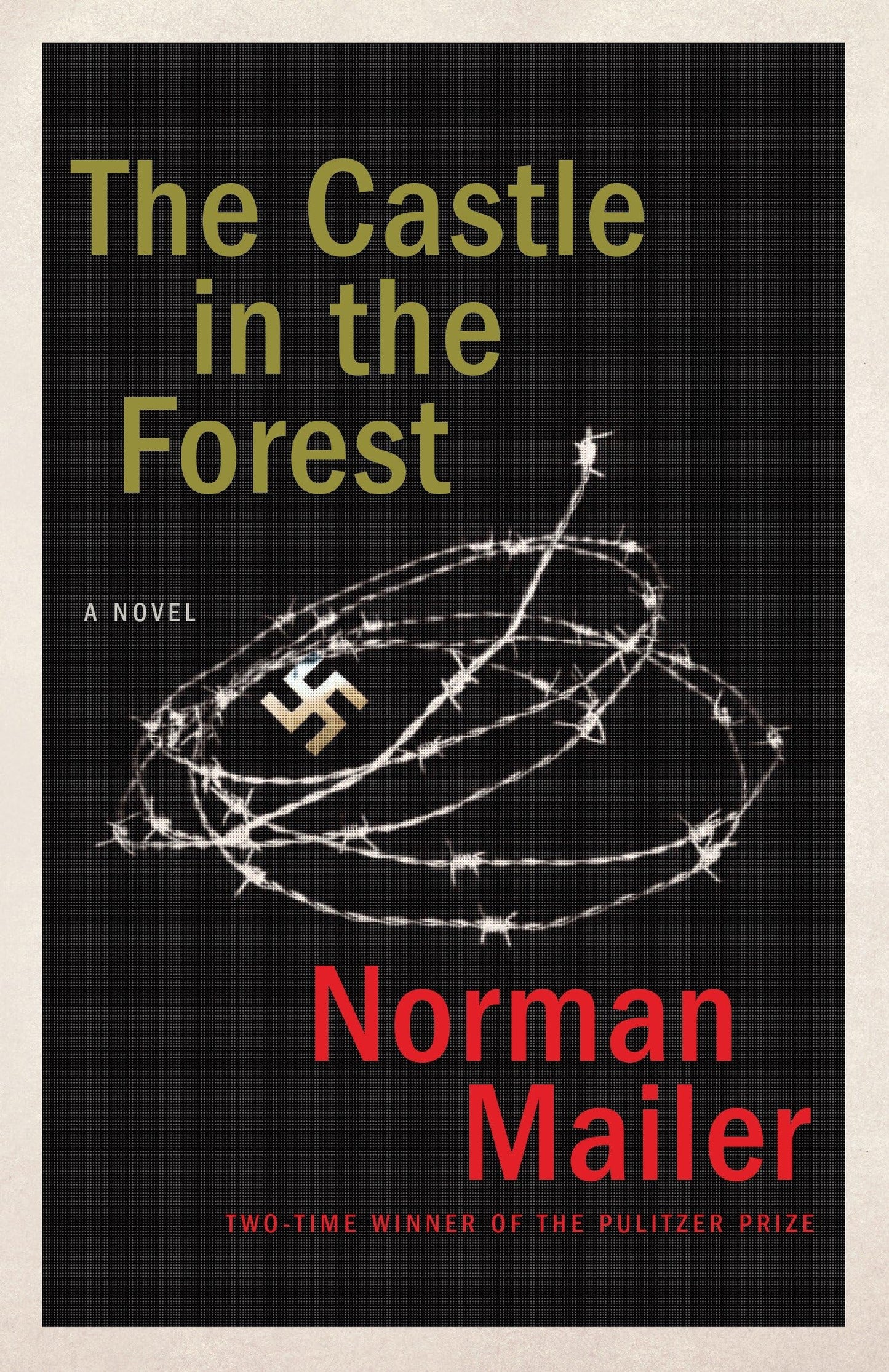 Castle in the Forest book cover