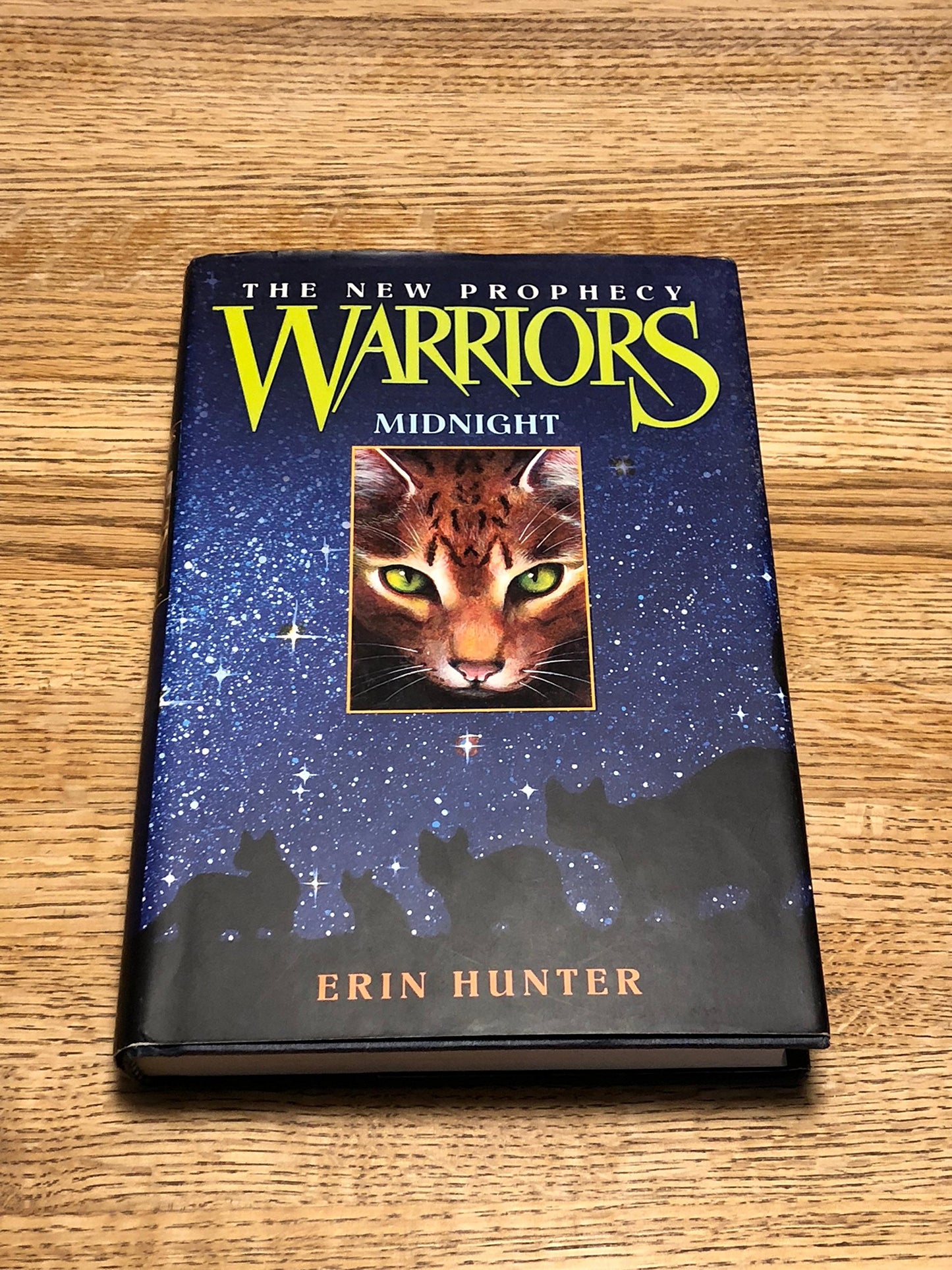 Midnight book cover