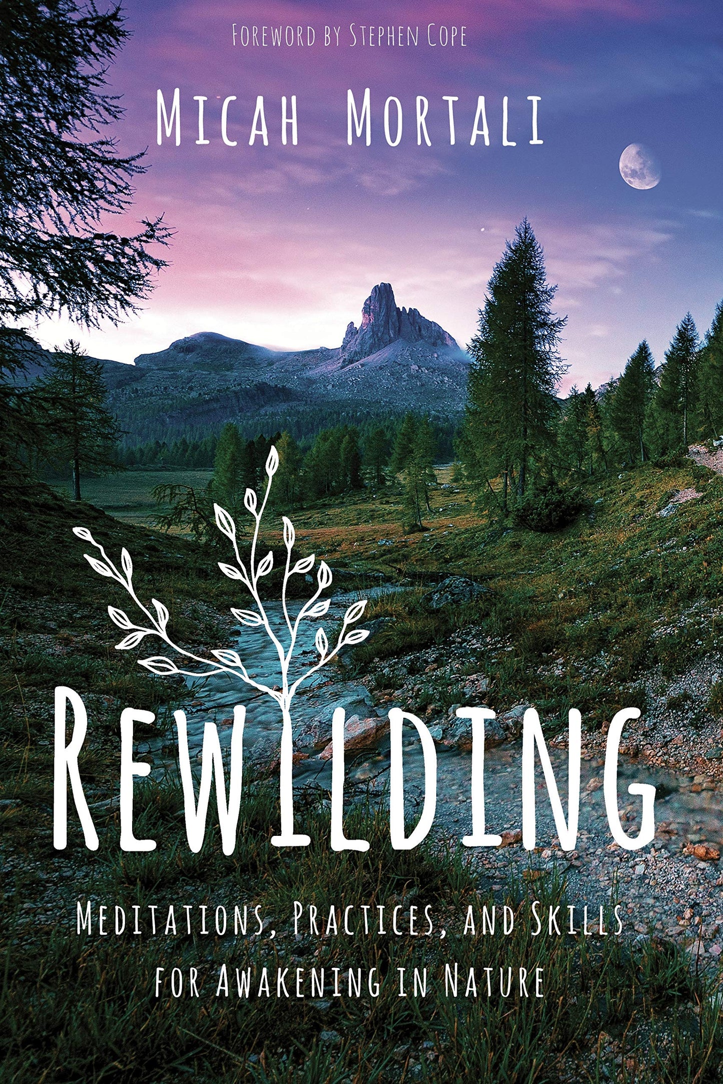 Rewilding: Meditations, Practices, and Skills for Awakening in Nature book cover