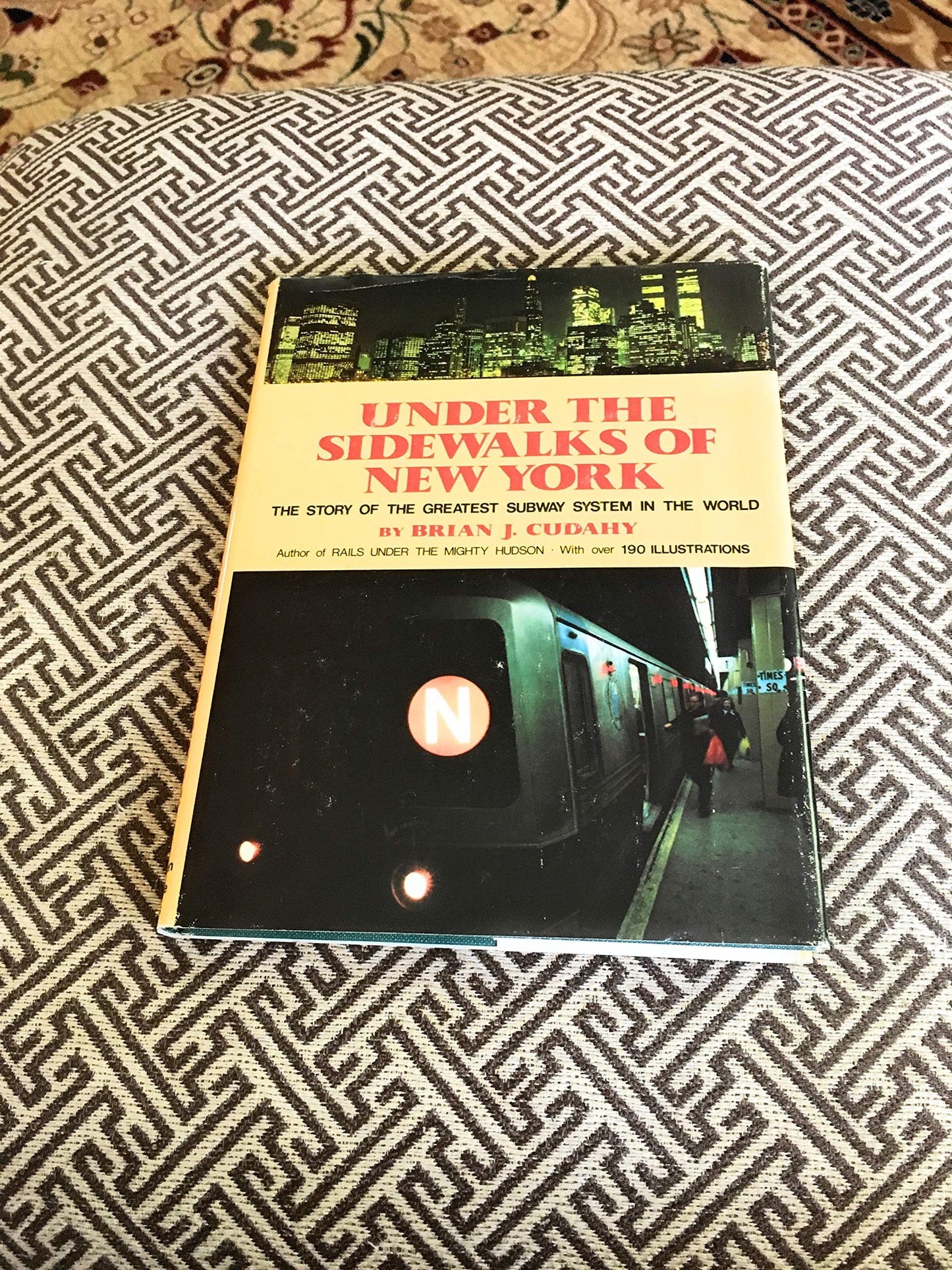 Under the Sidewalks of New York book cover