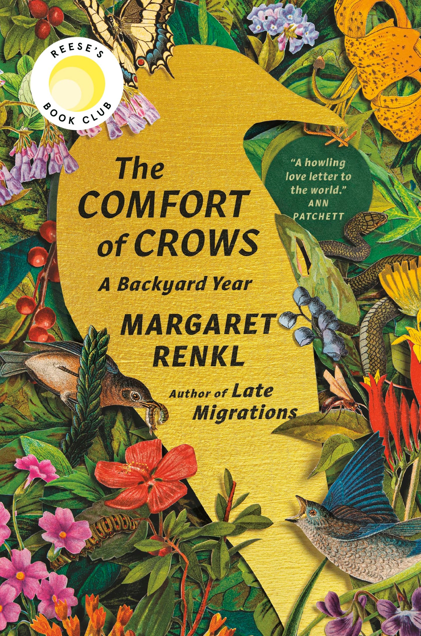 Comfort of Crows: A Backyard Year book cover