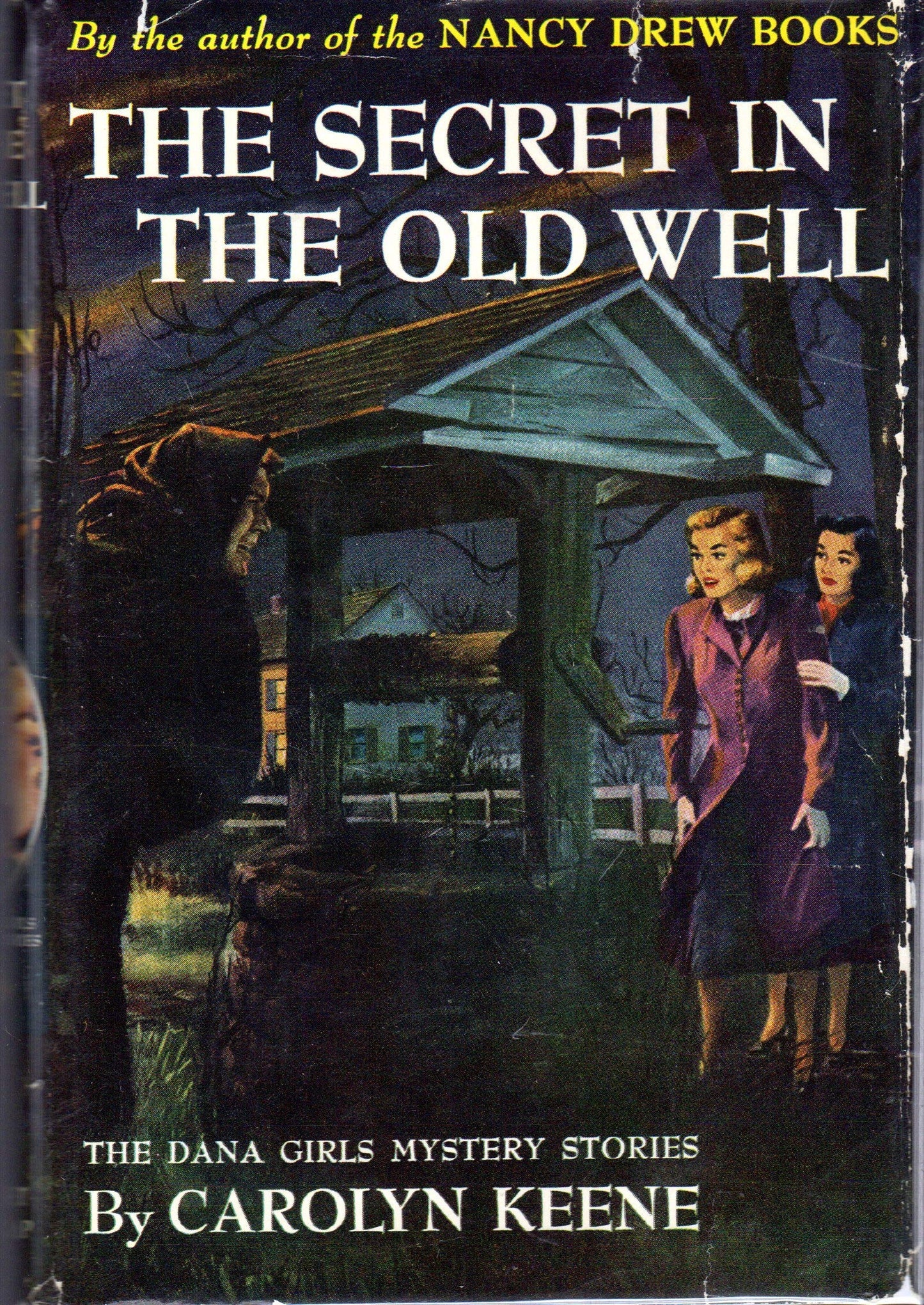 The Secret of the Old Well, Dana Girls Mystery #13 book cover