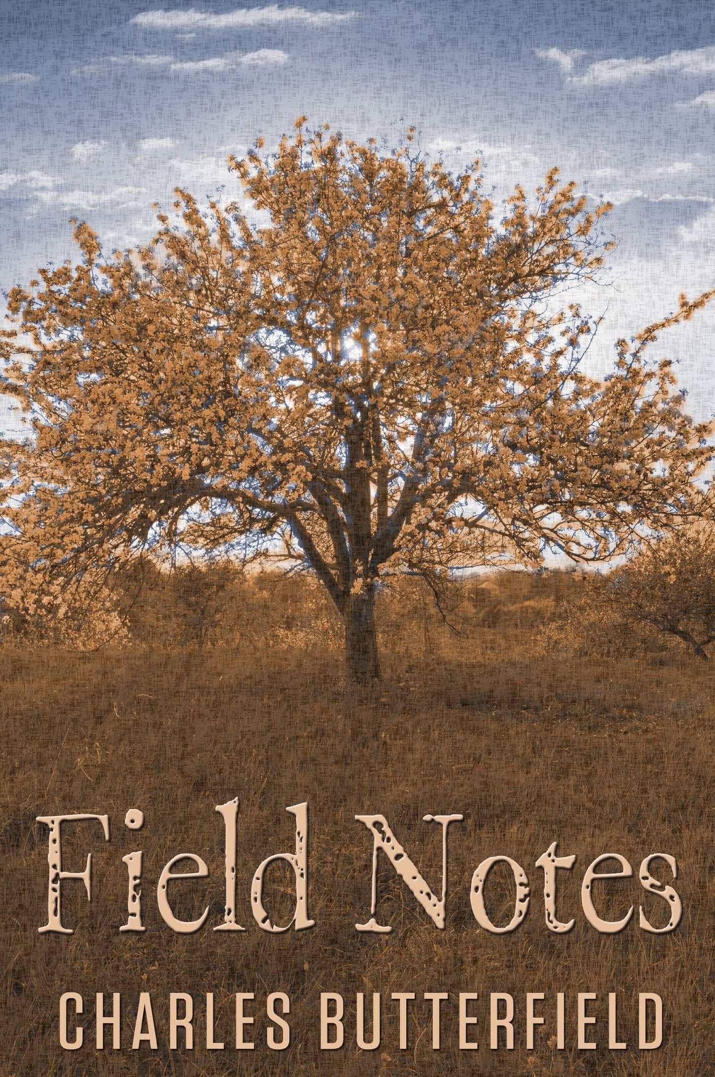 Field Notes book cover