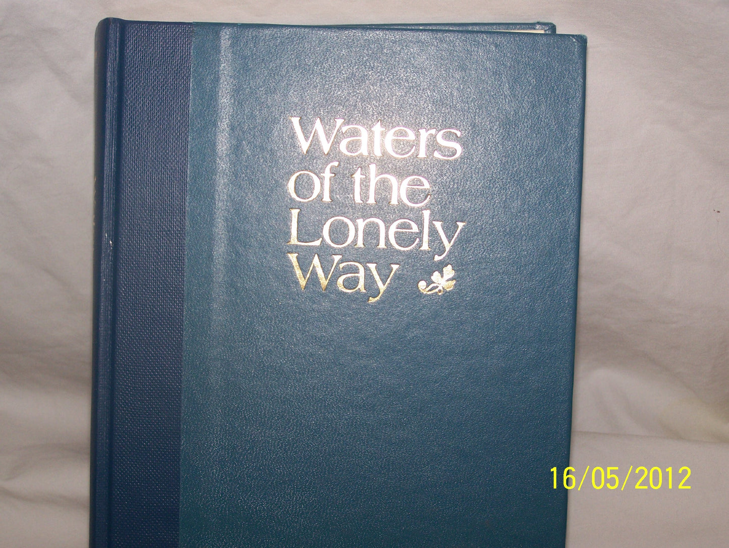 Waters of the Lonely Way book cover