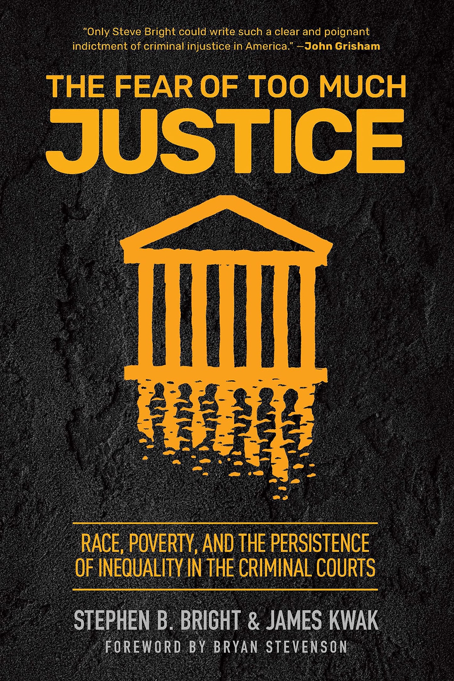 The Fear of Too Much Justice book cover