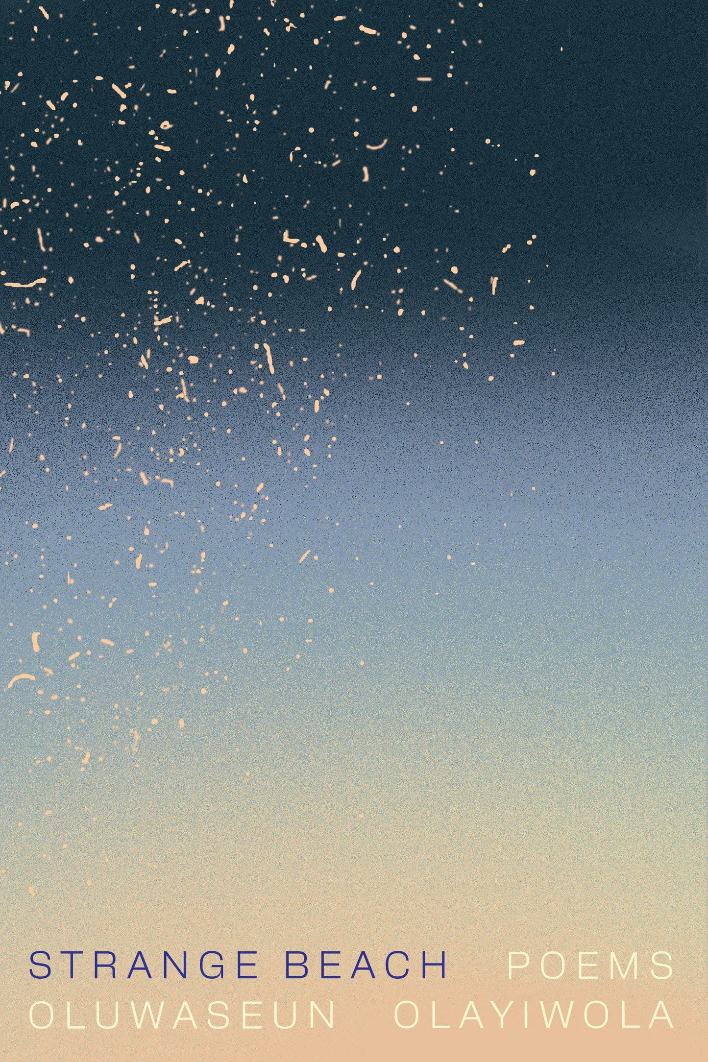 Strange Beach book cover