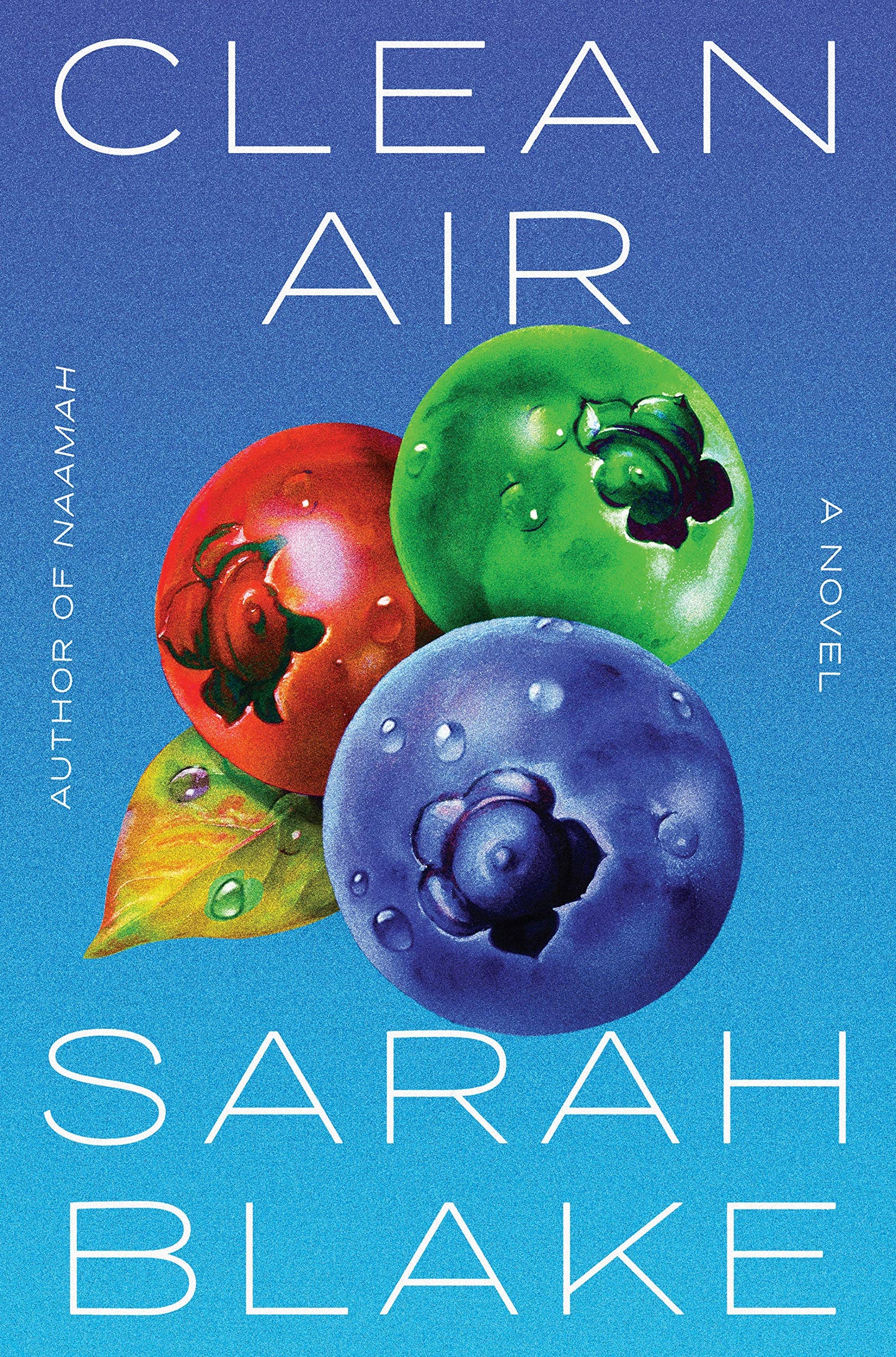 Clean Air book cover