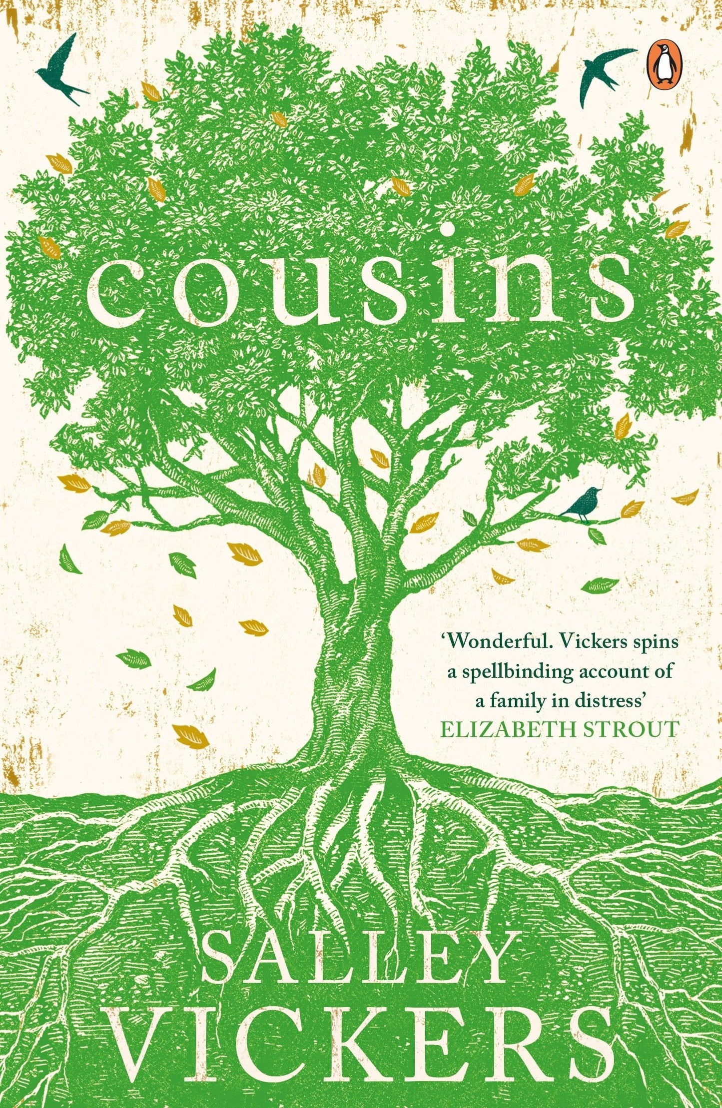 Cousins book cover