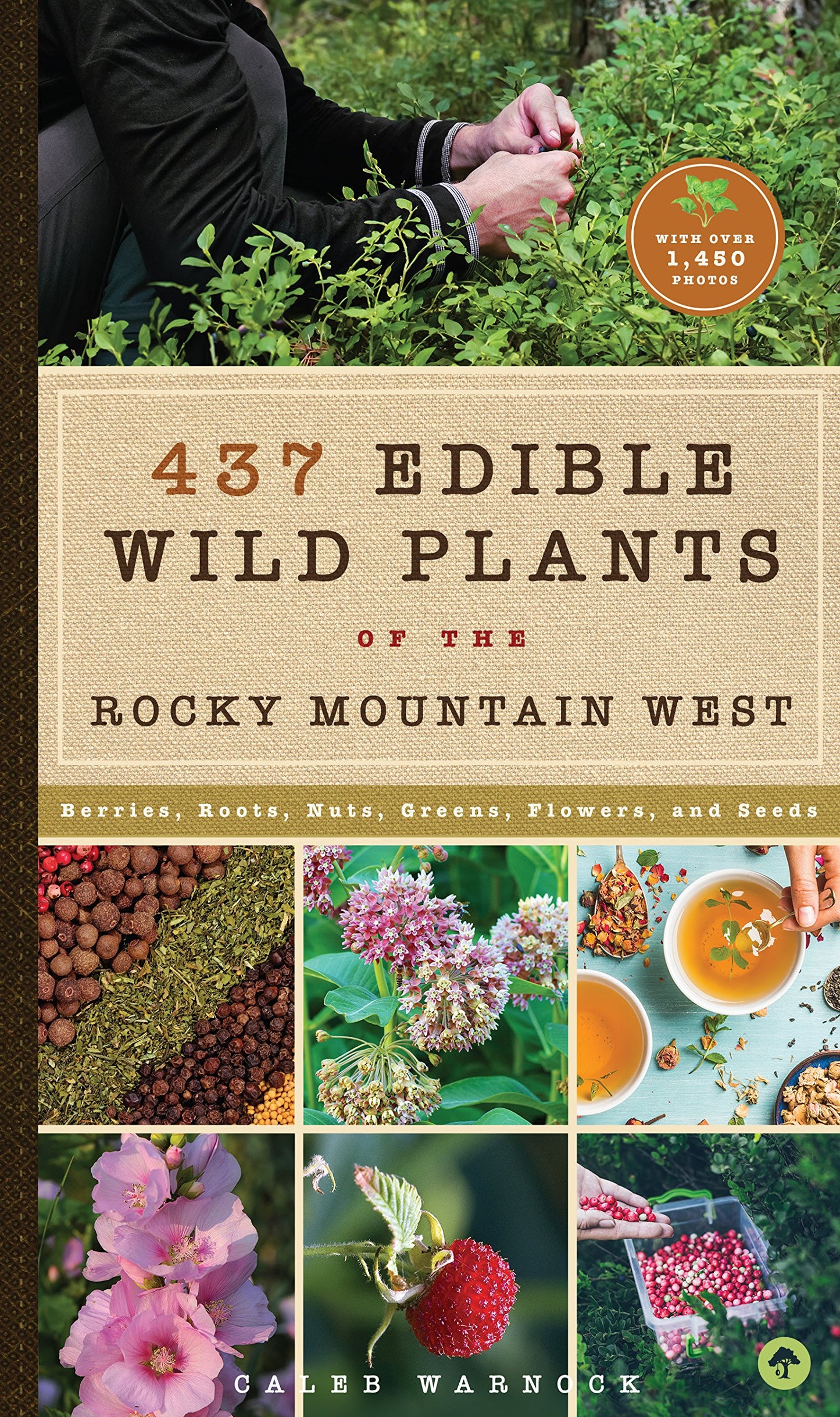 437 Edible Wild Plants of the Rocky Mountain West: Berries, Roots, Nuts, Greens, Flowers, and Seeds book cover