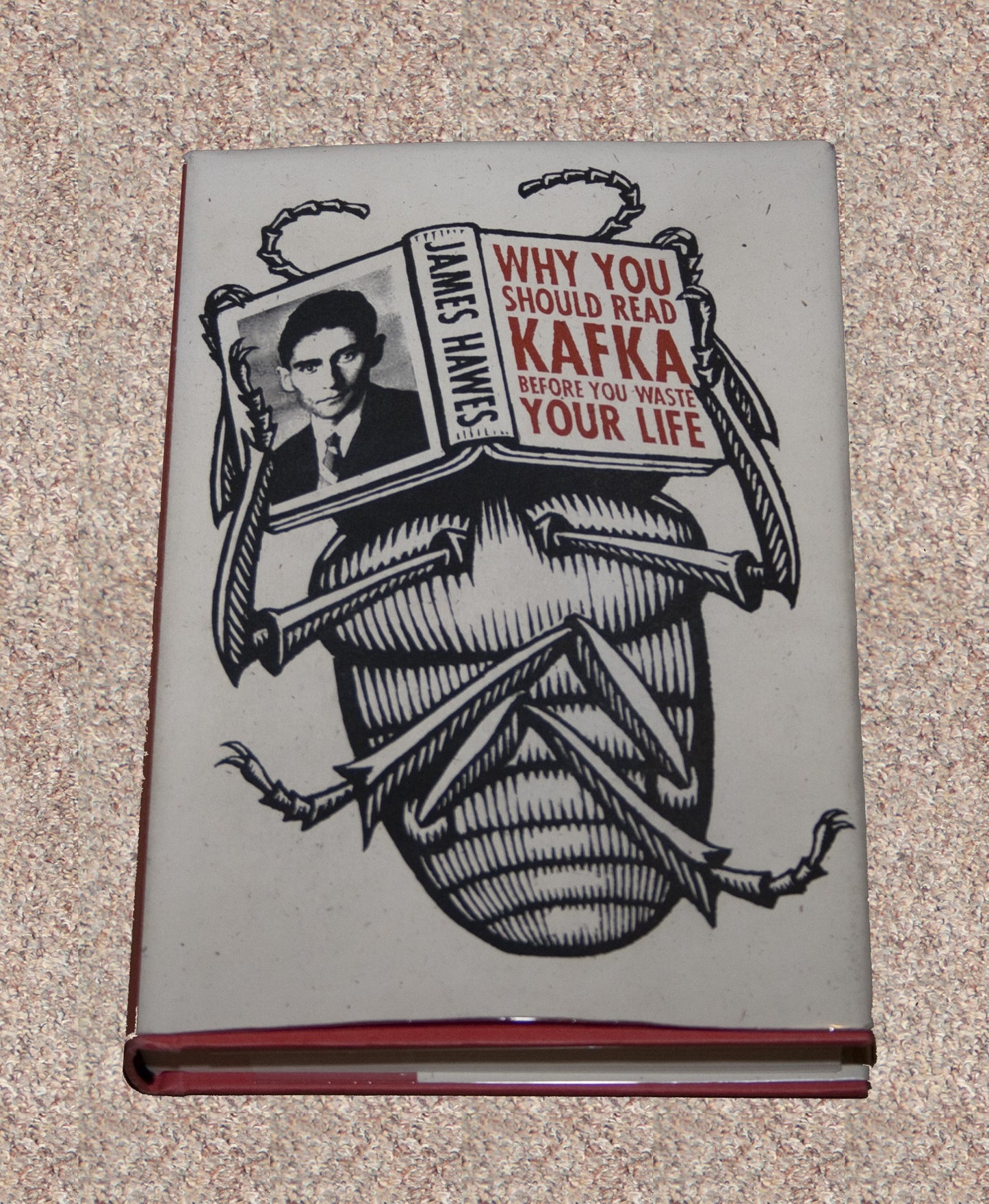 Why You Should Read Kafka Before You Waste Your Life book cover